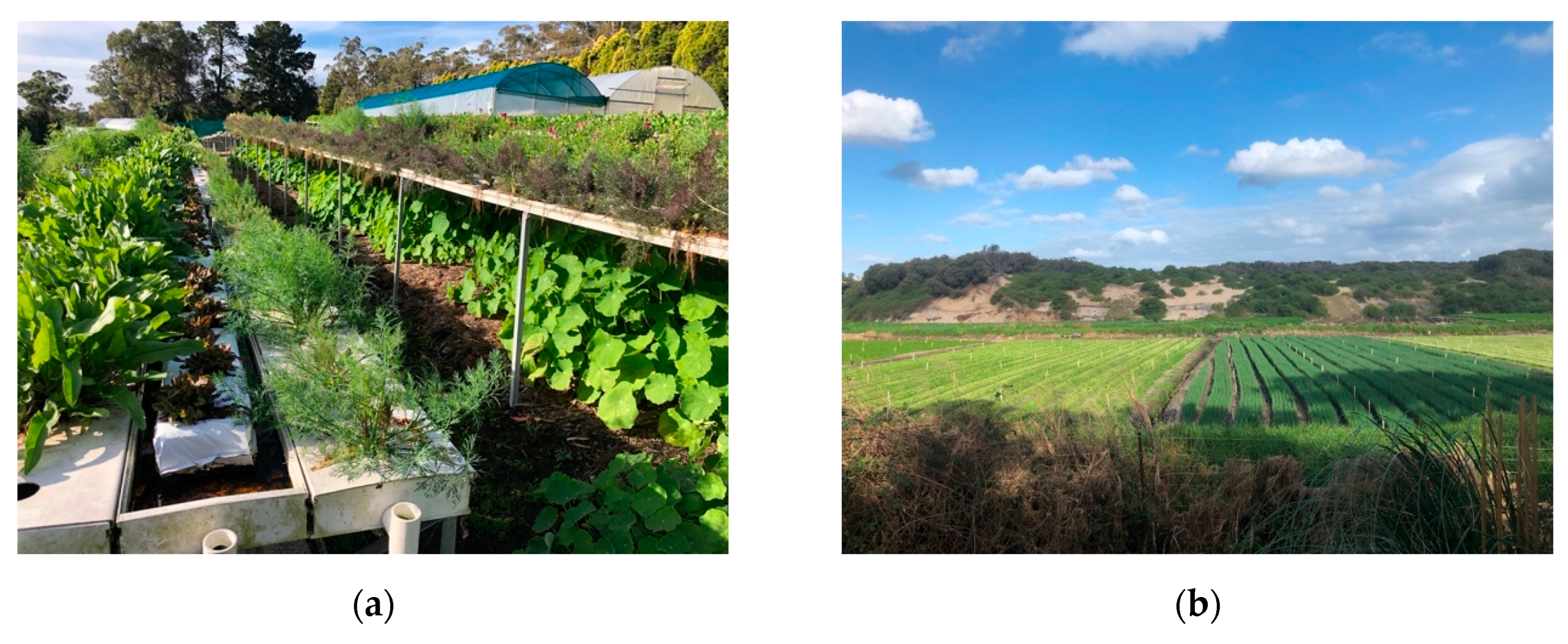 Sustainability 12 03346 g006a Sustainability 12 03346 g006a