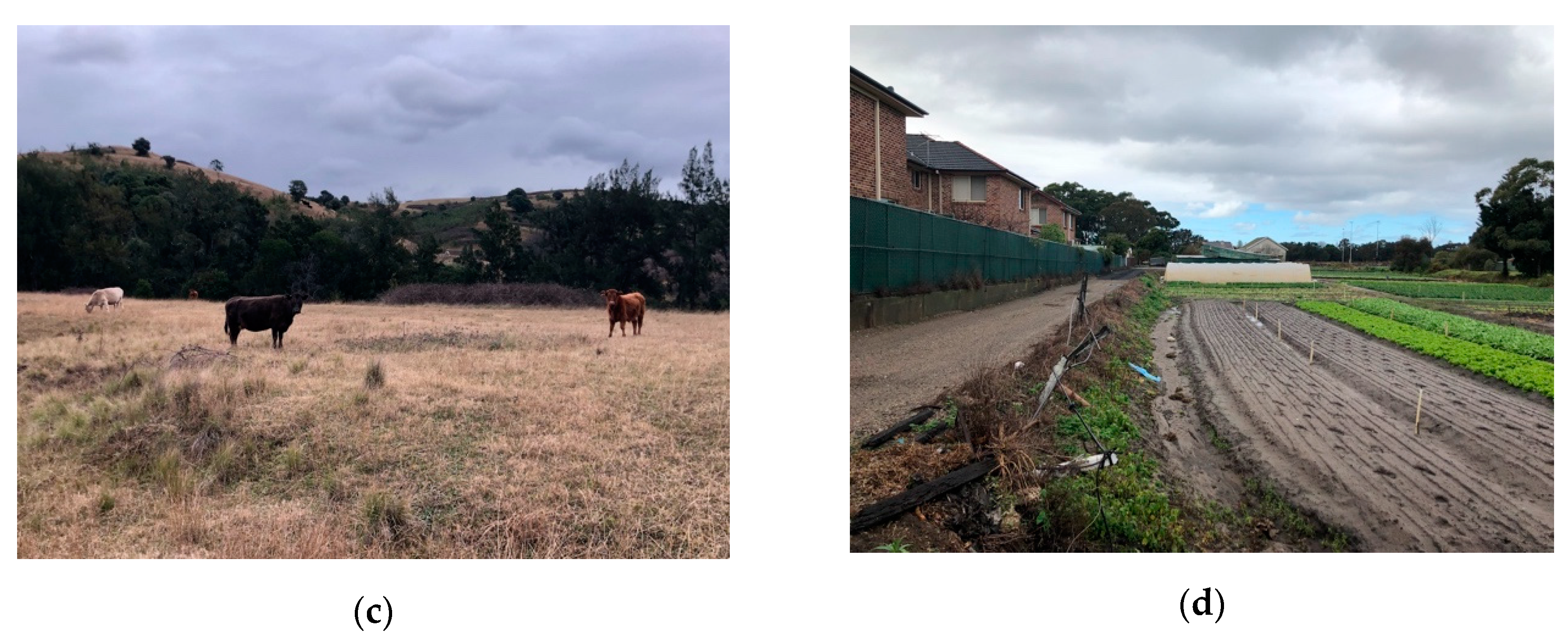 Sustainability 12 03346 g006b Sustainability 12 03346 g006b