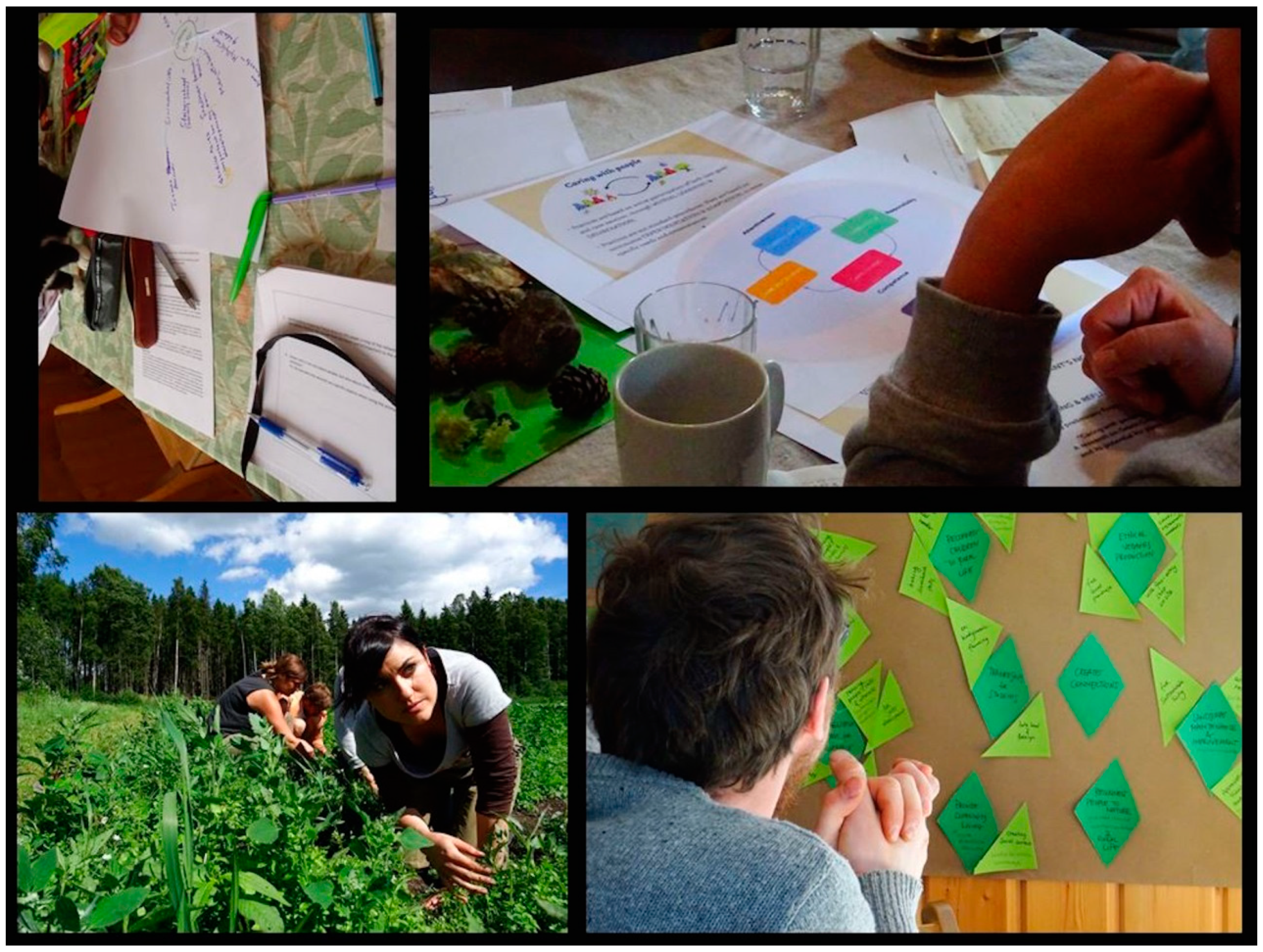 Sustainability 12 03361 g003