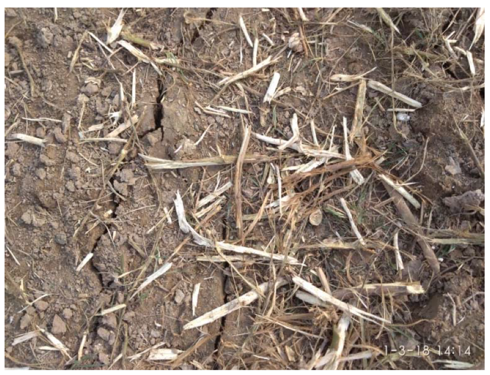 Sustainability 12 03407 g004