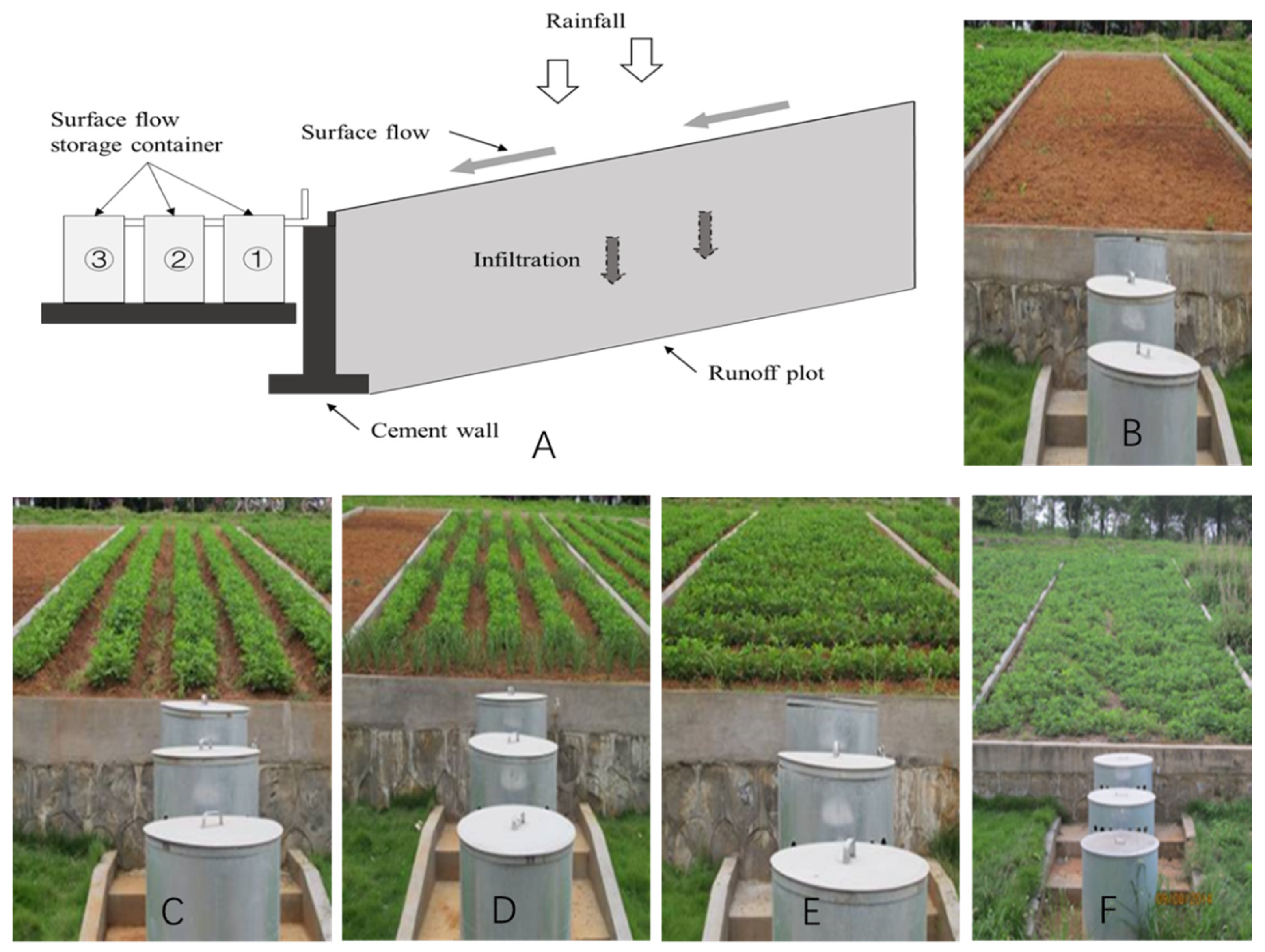 Sustainability 12 03417 g003 Sustainability 12 03417 g003