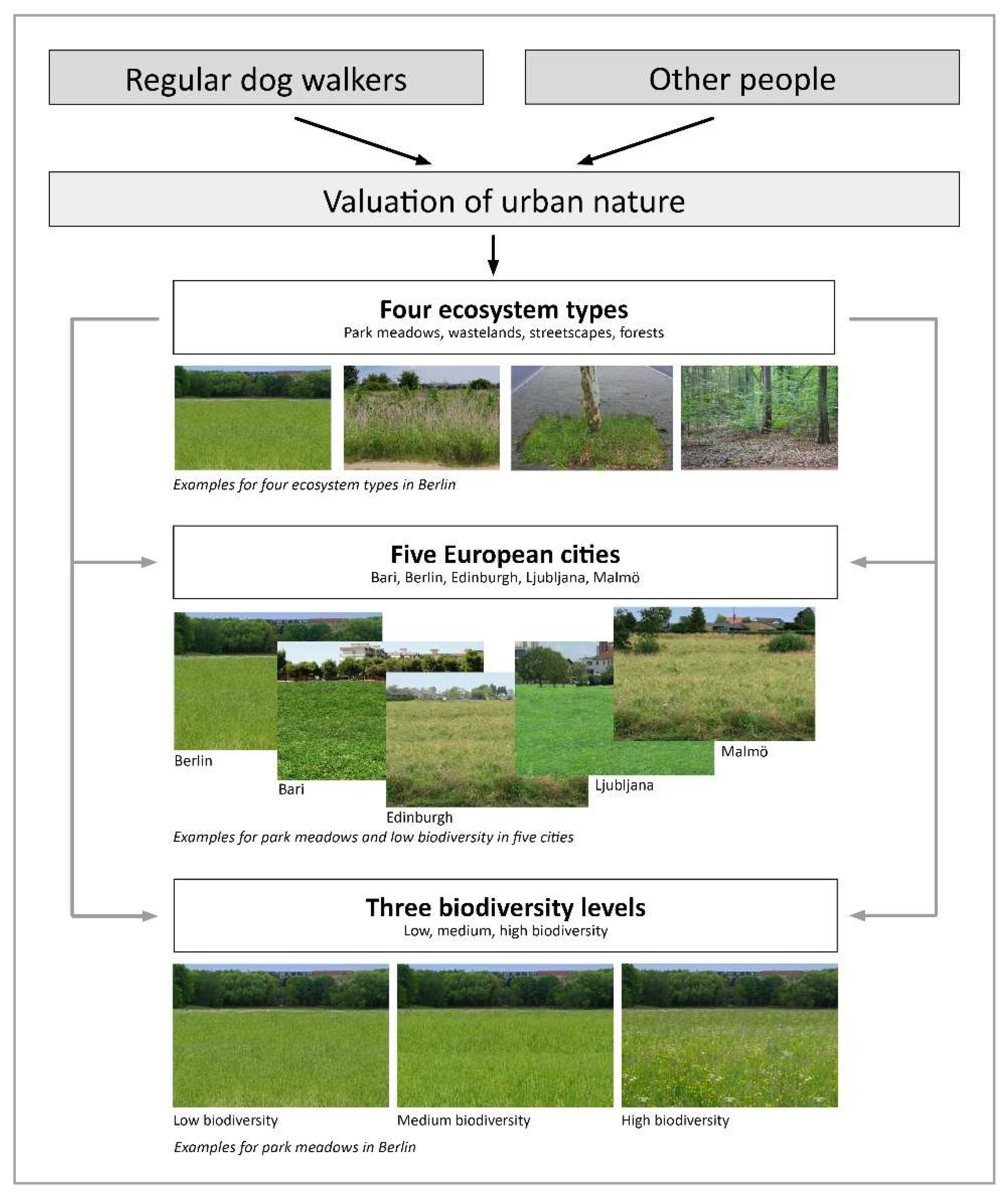 Sustainability 12 03507 g002 Sustainability 12 03507 g002