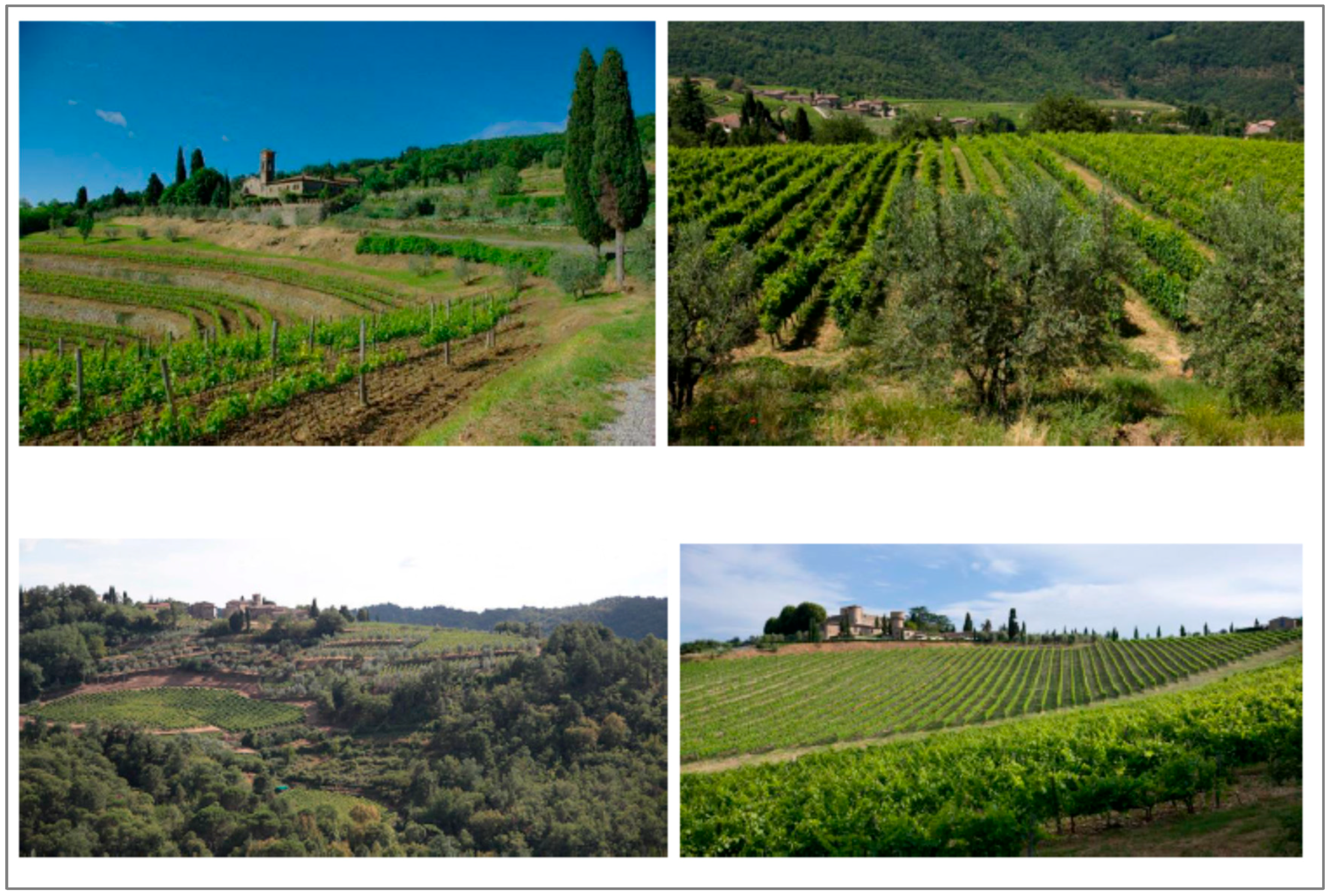 Sustainability 12 03509 g002