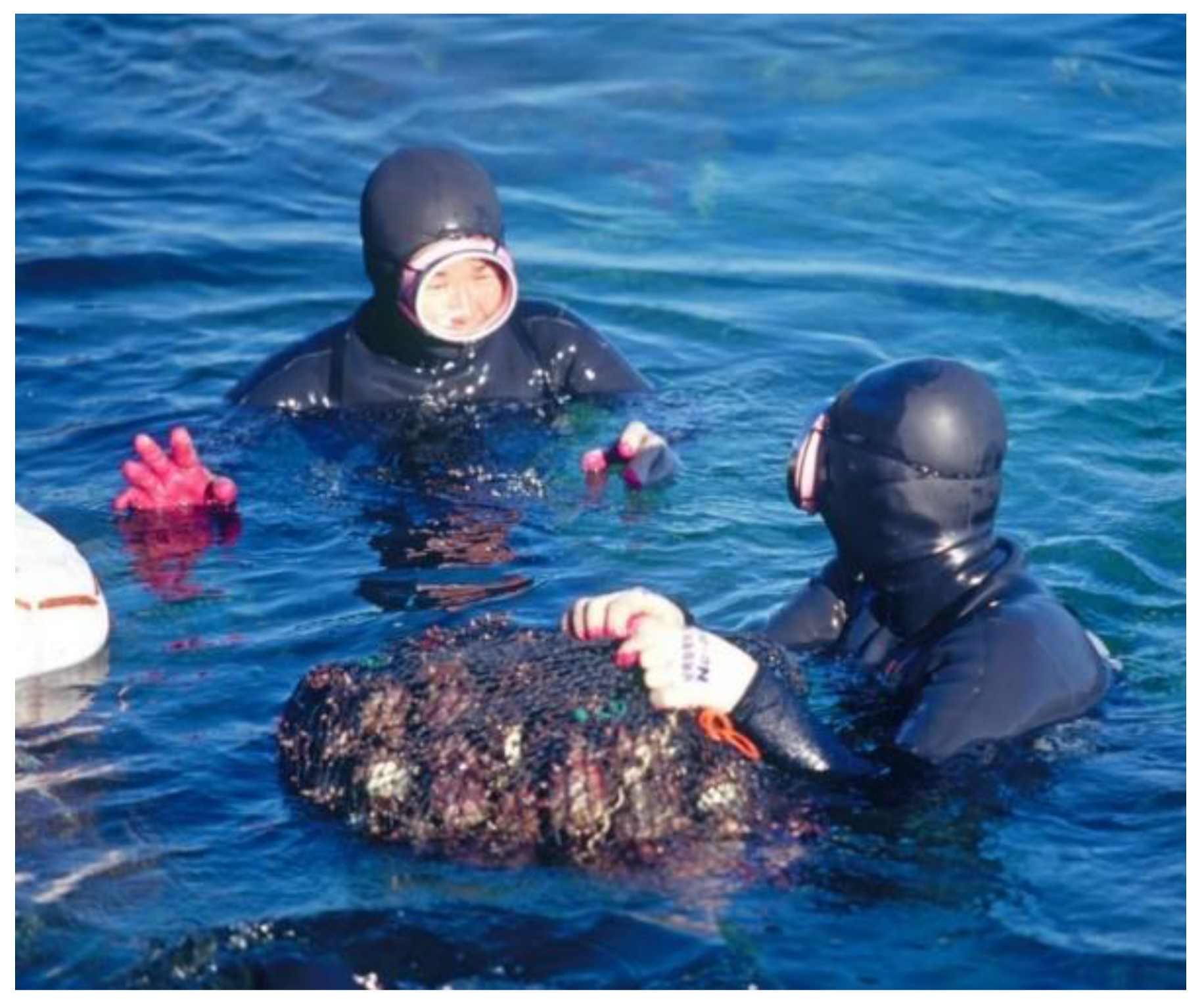 Sustainability 12 03512 g005 550