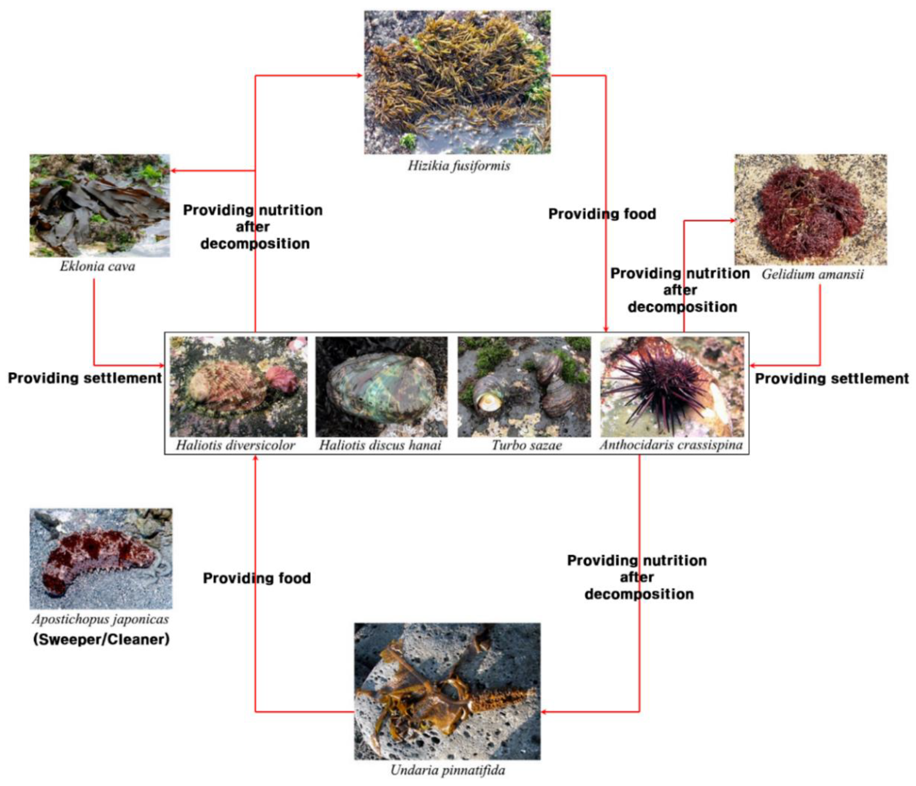 Sustainability 12 03512 g010 550