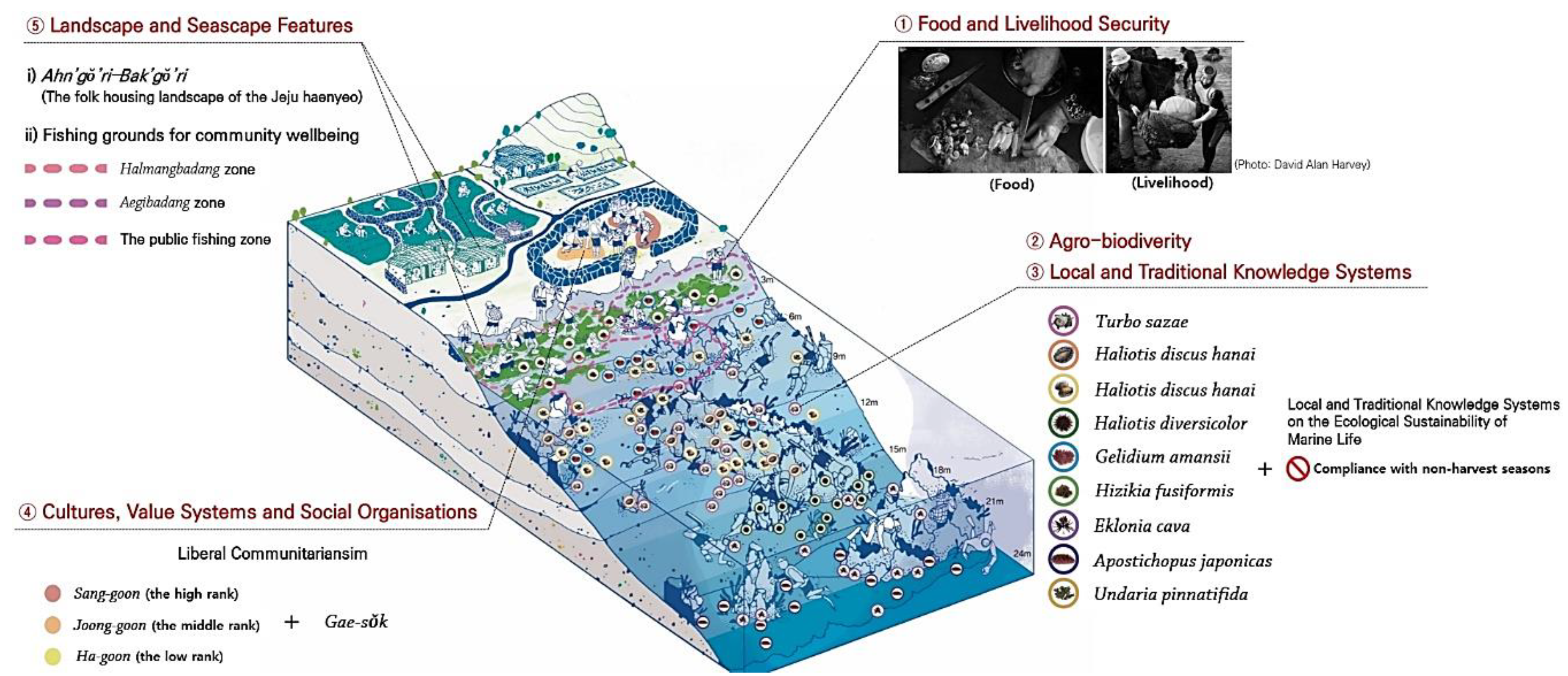 Sustainability 12 03512 g011 550