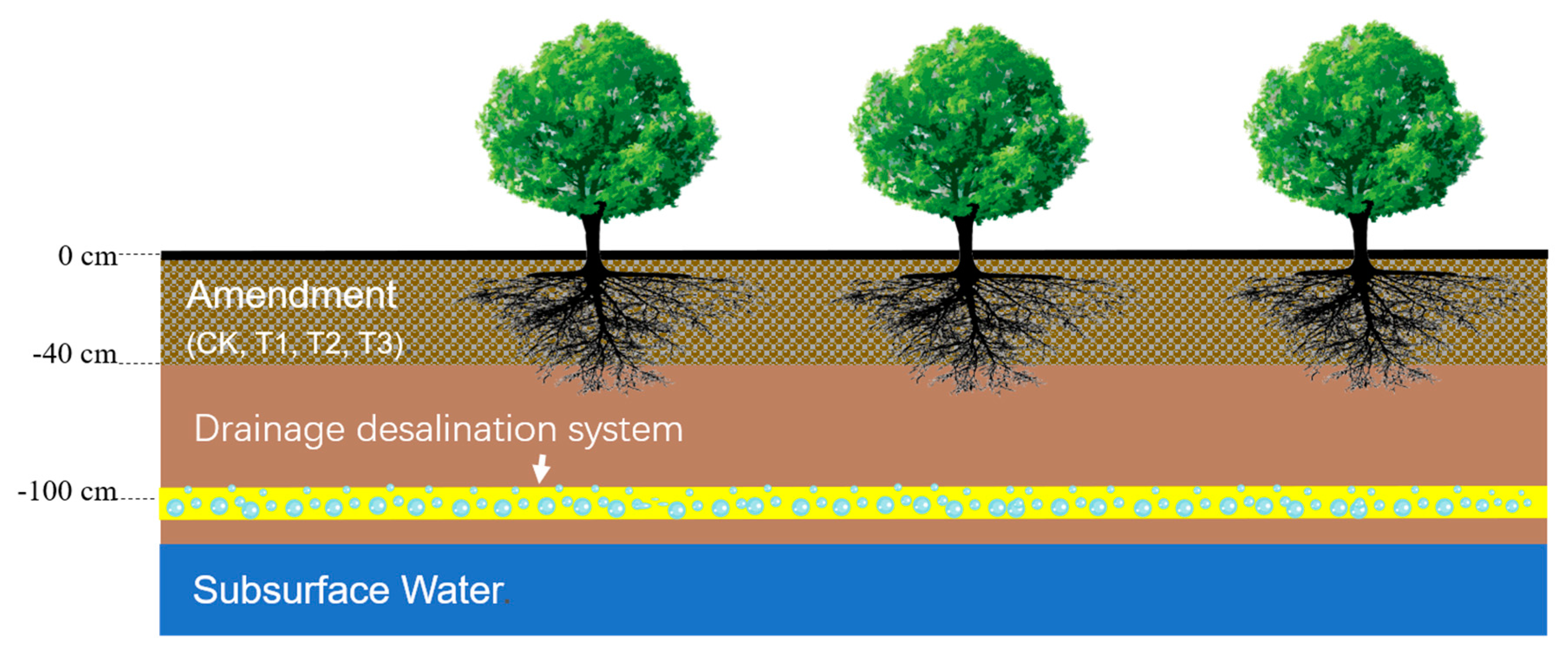 Sustainability 12 03602 g002