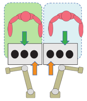 Sustainability 12 03606 i012 Sustainability 12 03606 i012