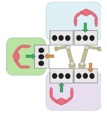 Sustainability 12 03606 i016 Sustainability 12 03606 i016