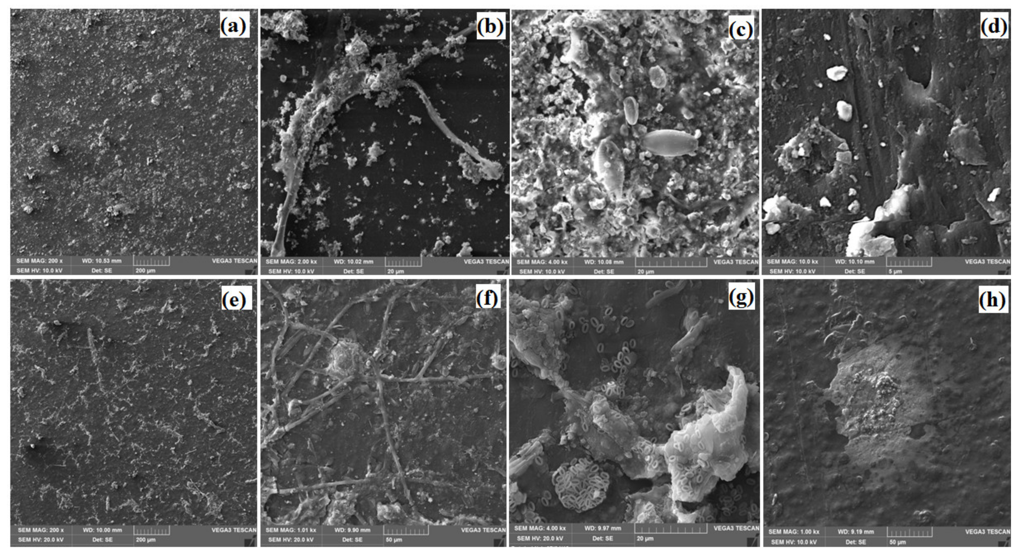 Sustainability 12 03624 g005