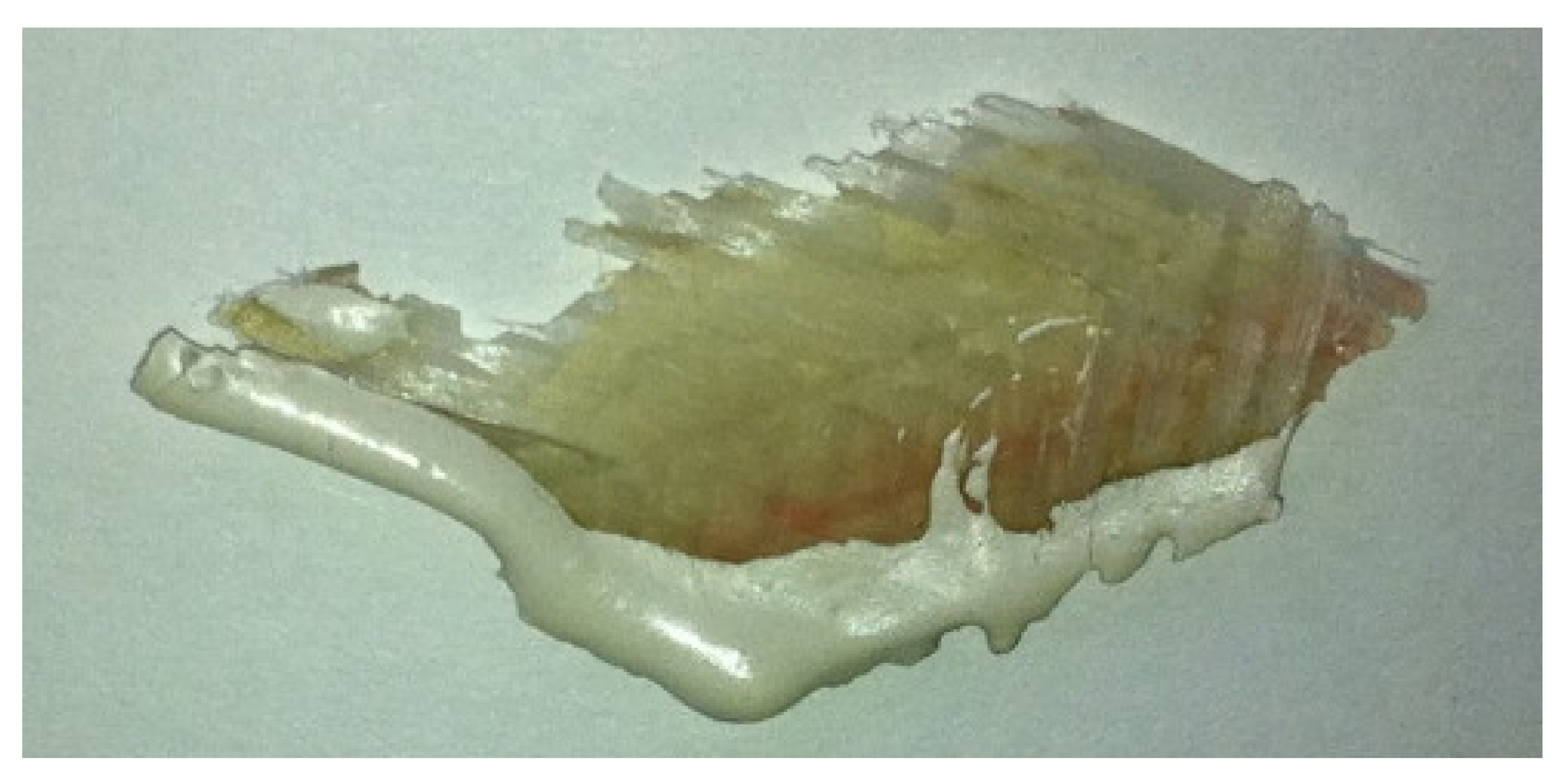 Sustainability 12 03626 g005