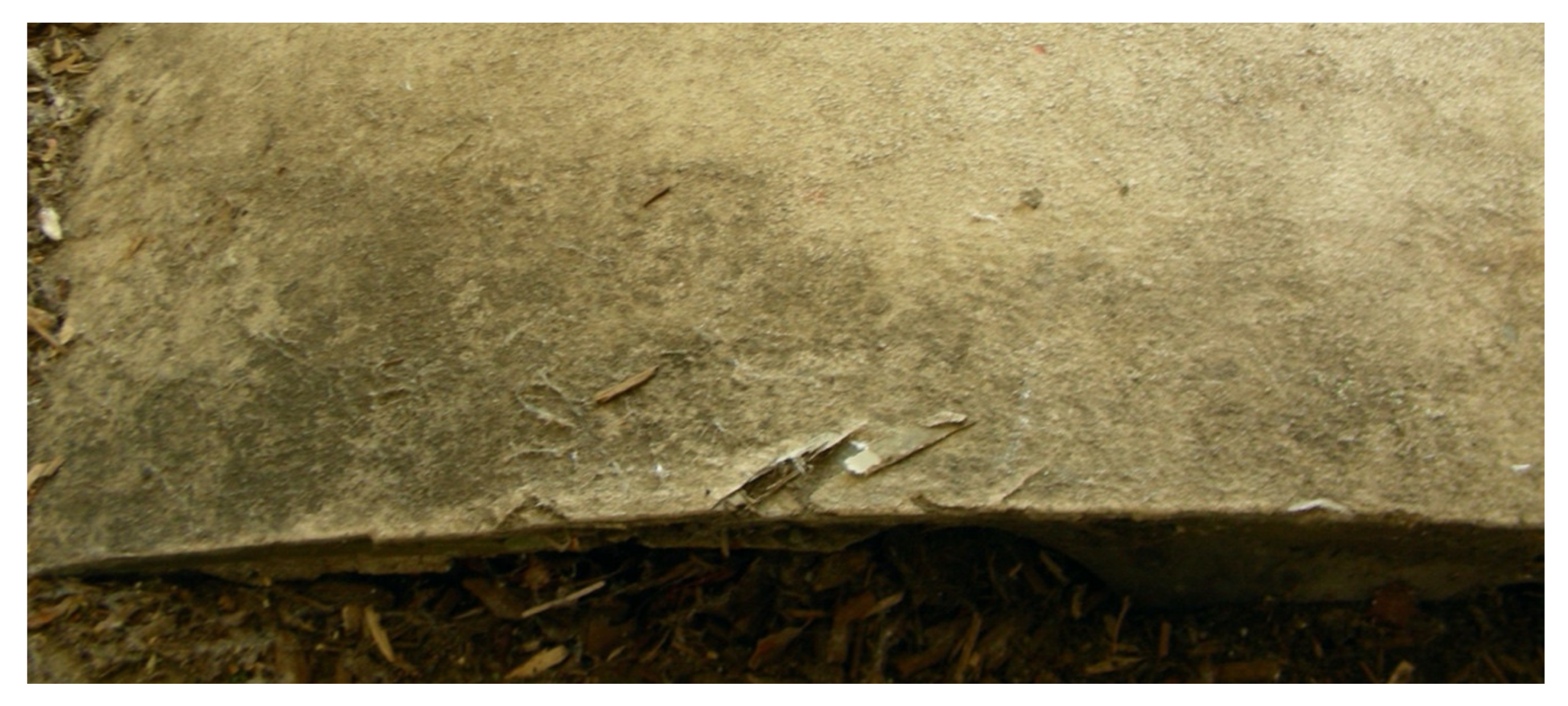 Sustainability 12 03626 g008