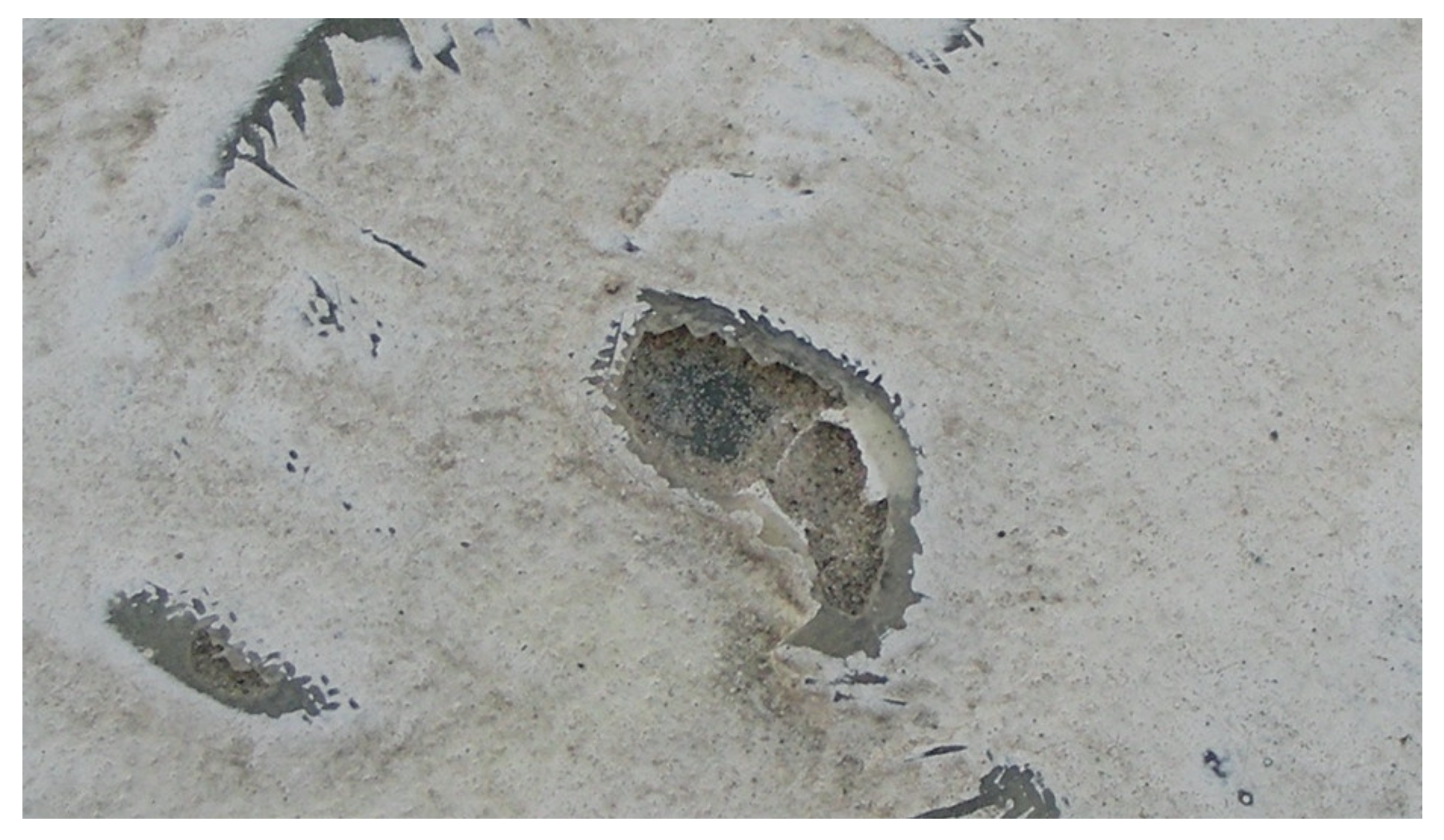 Sustainability 12 03626 g010