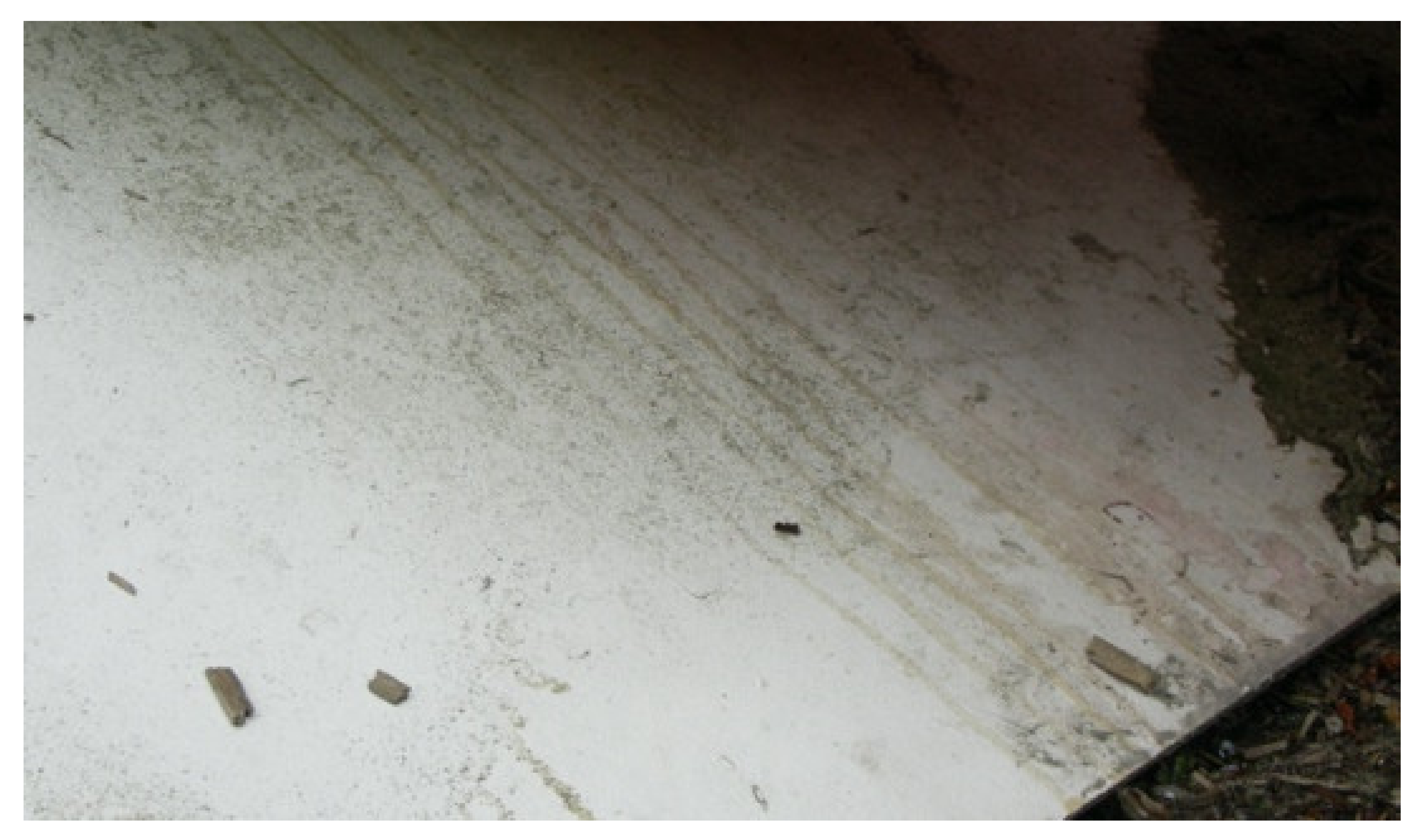 Sustainability 12 03626 g022