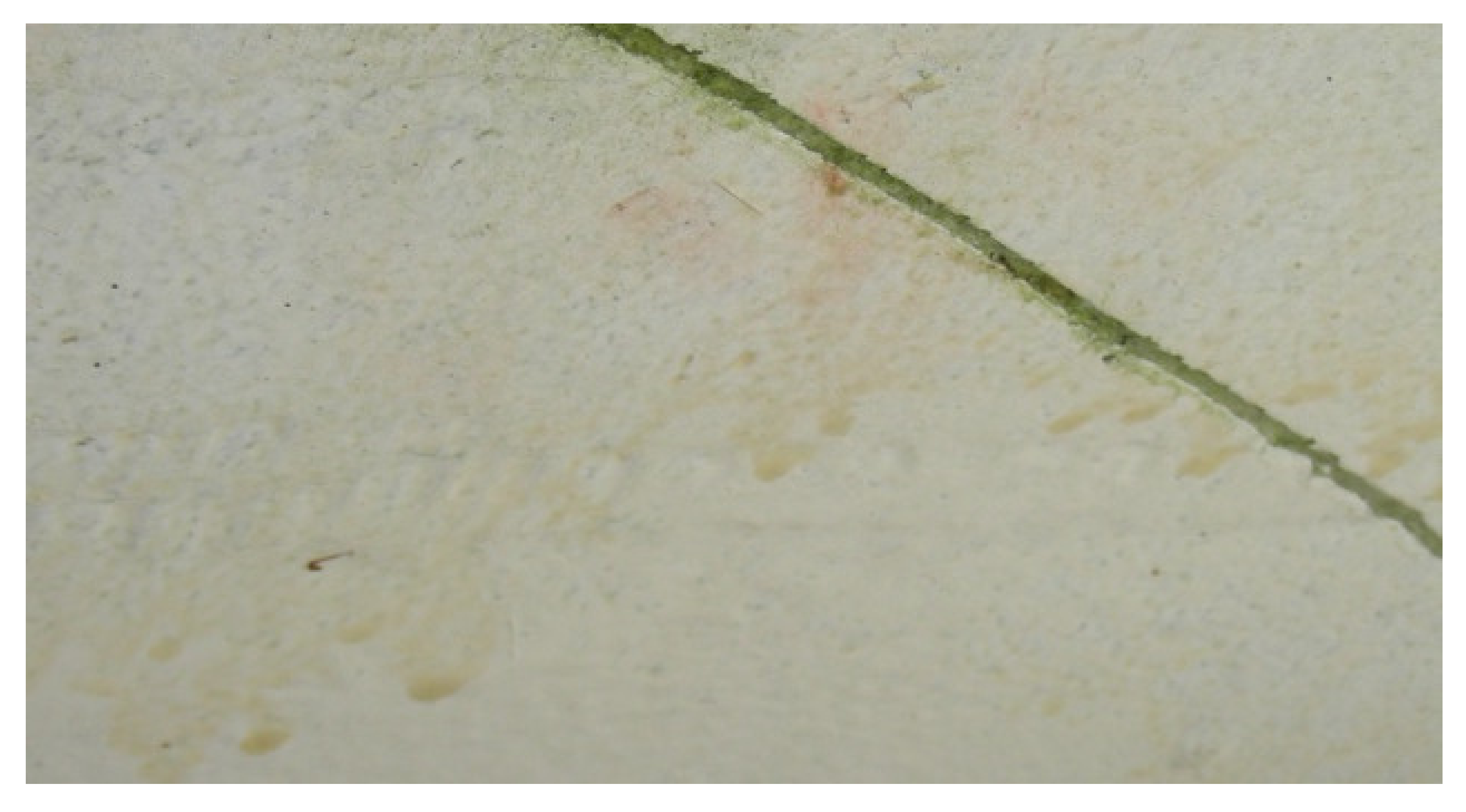 Sustainability 12 03626 g024