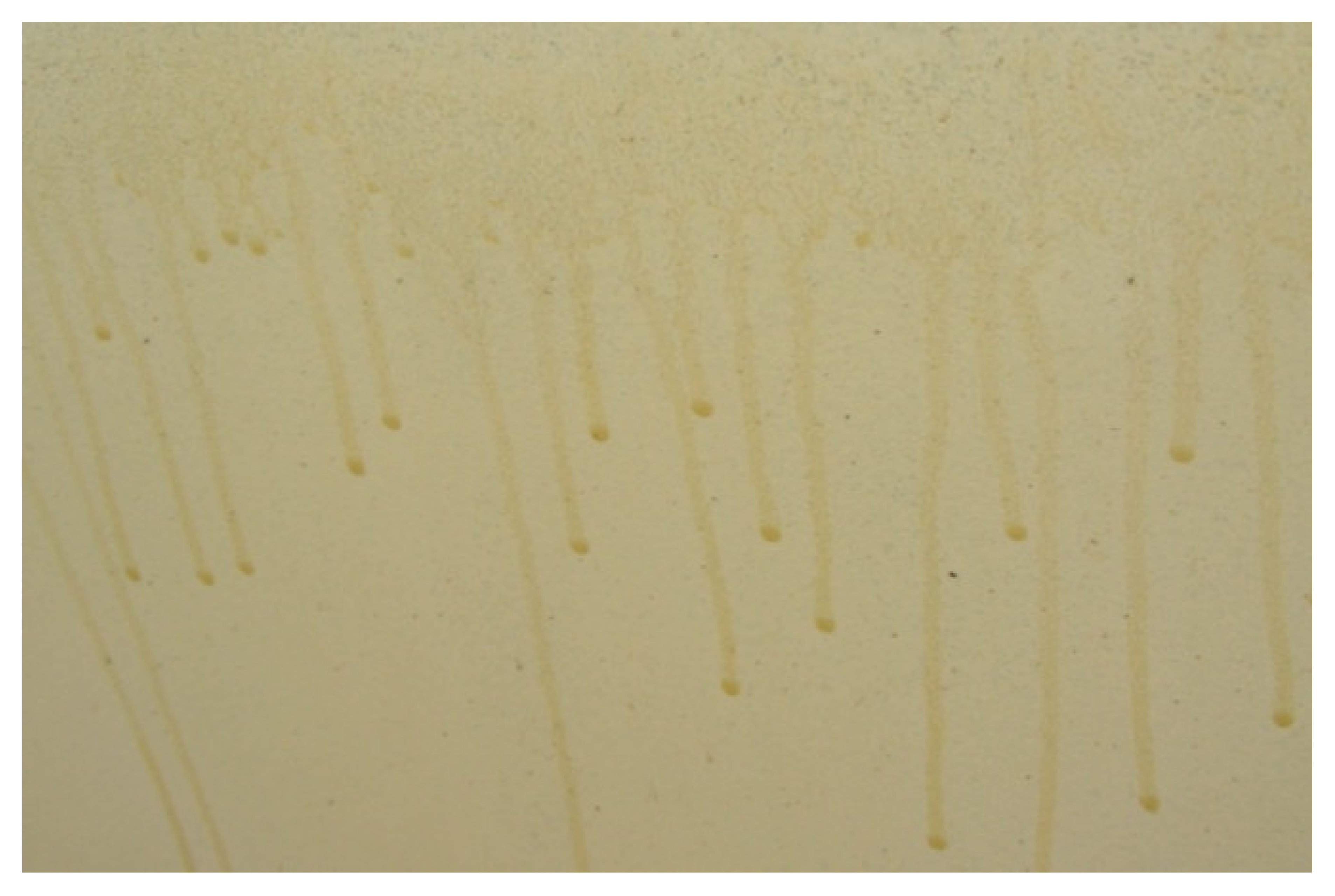 Sustainability 12 03626 g025