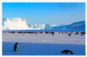 Sustainability 12 03695 i003