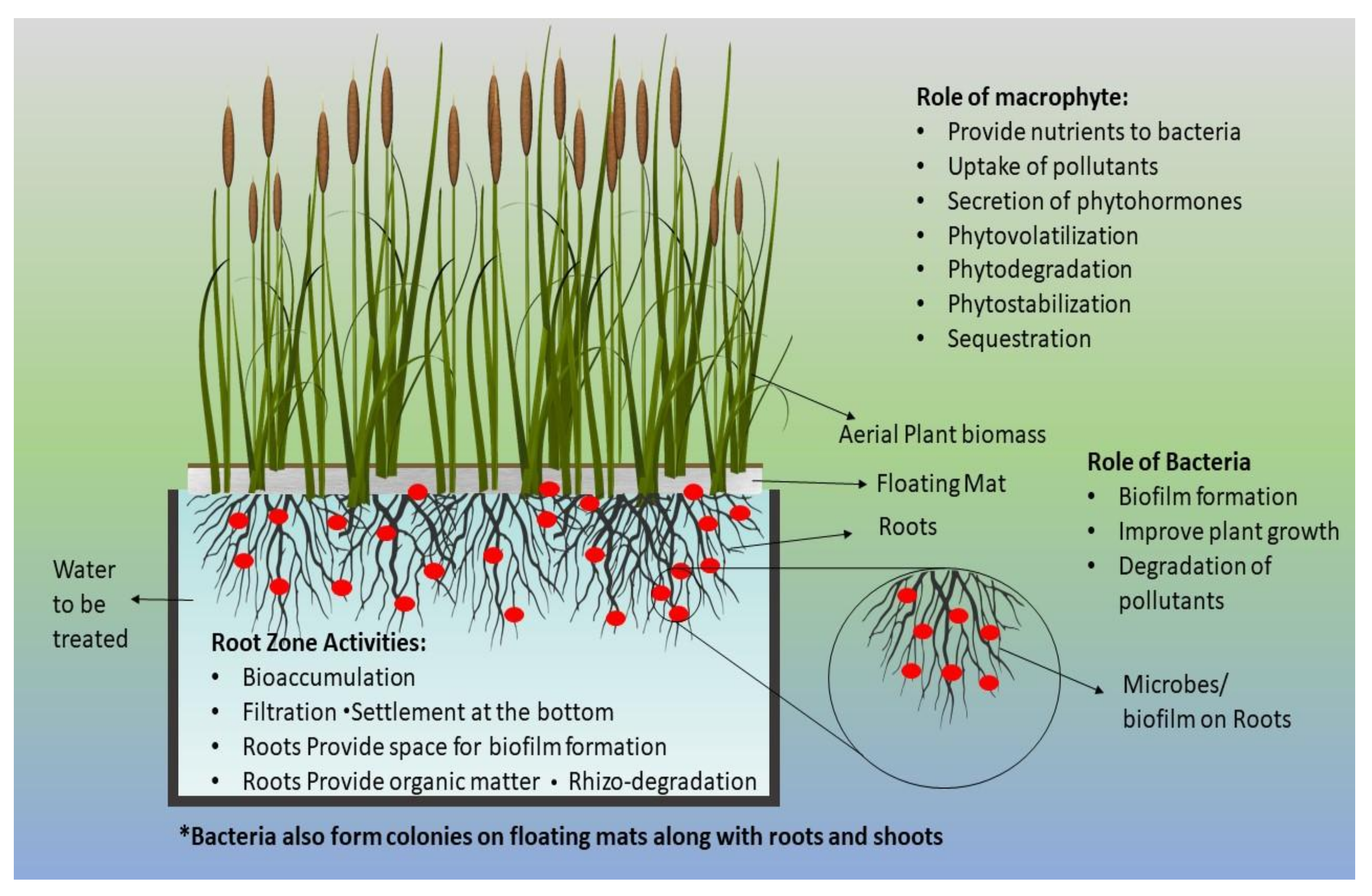 Sustainability 12 03731 g001 Sustainability 12 03731 g001