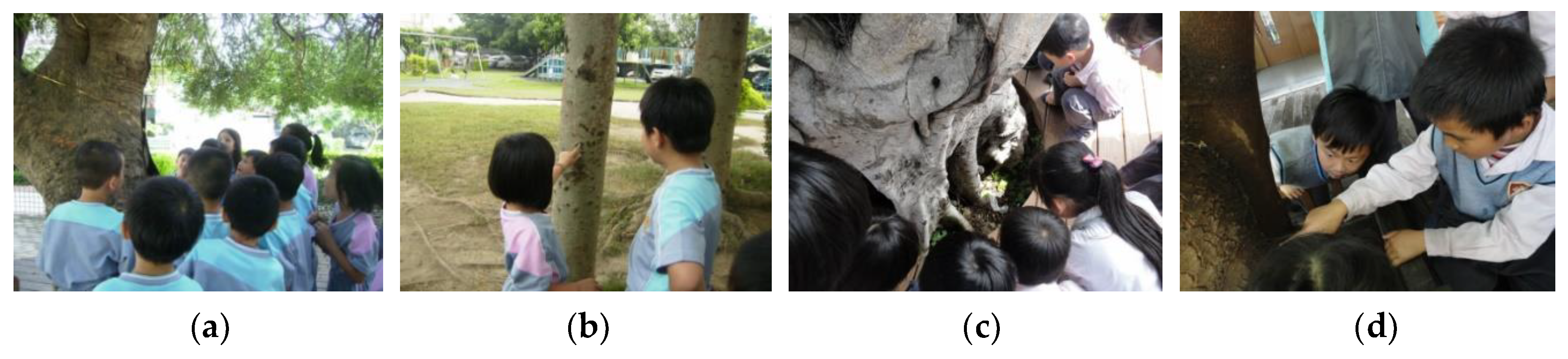 Sustainability 12 03736 g002