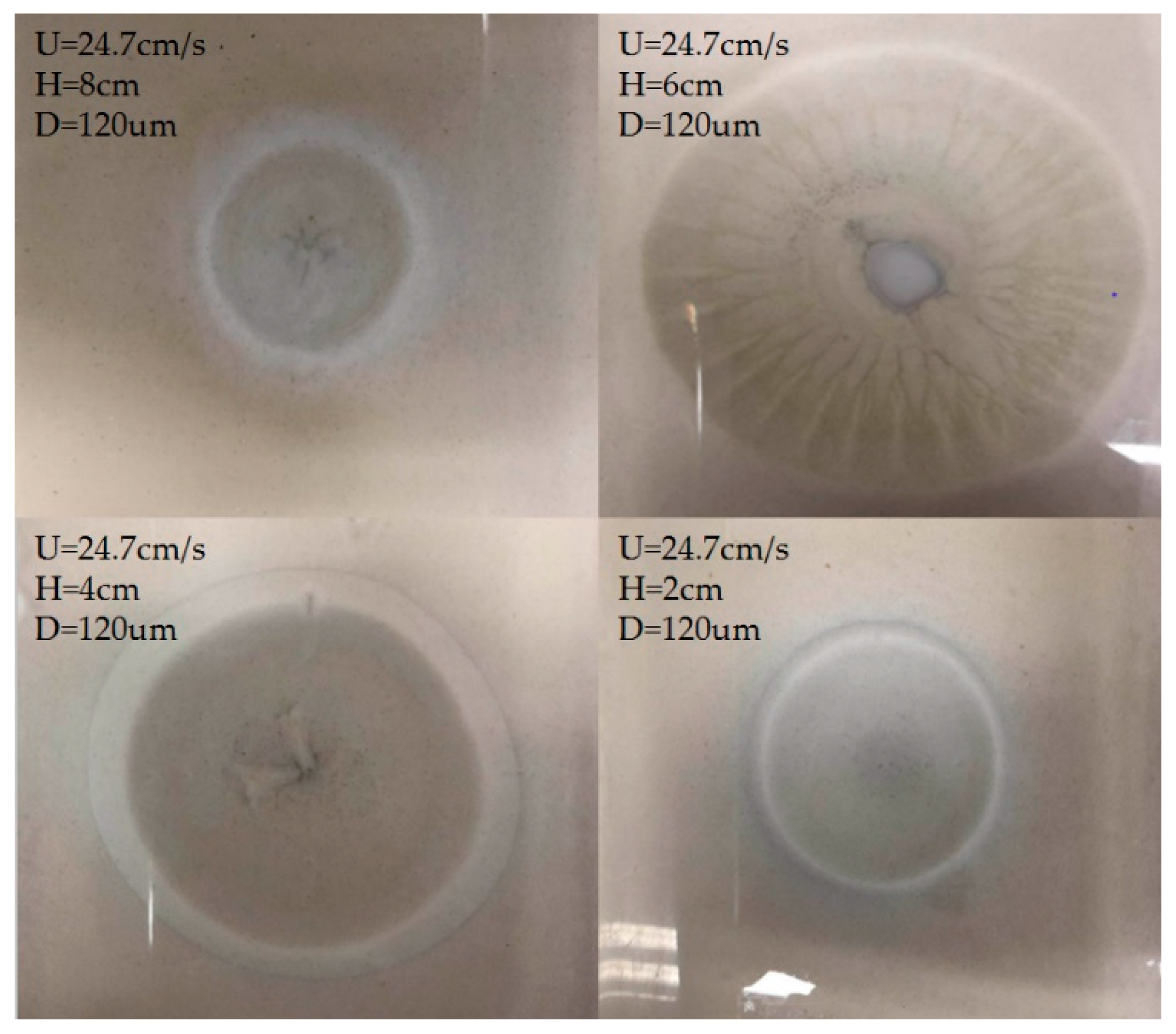 Sustainability 12 03775 g006 Sustainability 12 03775 g006