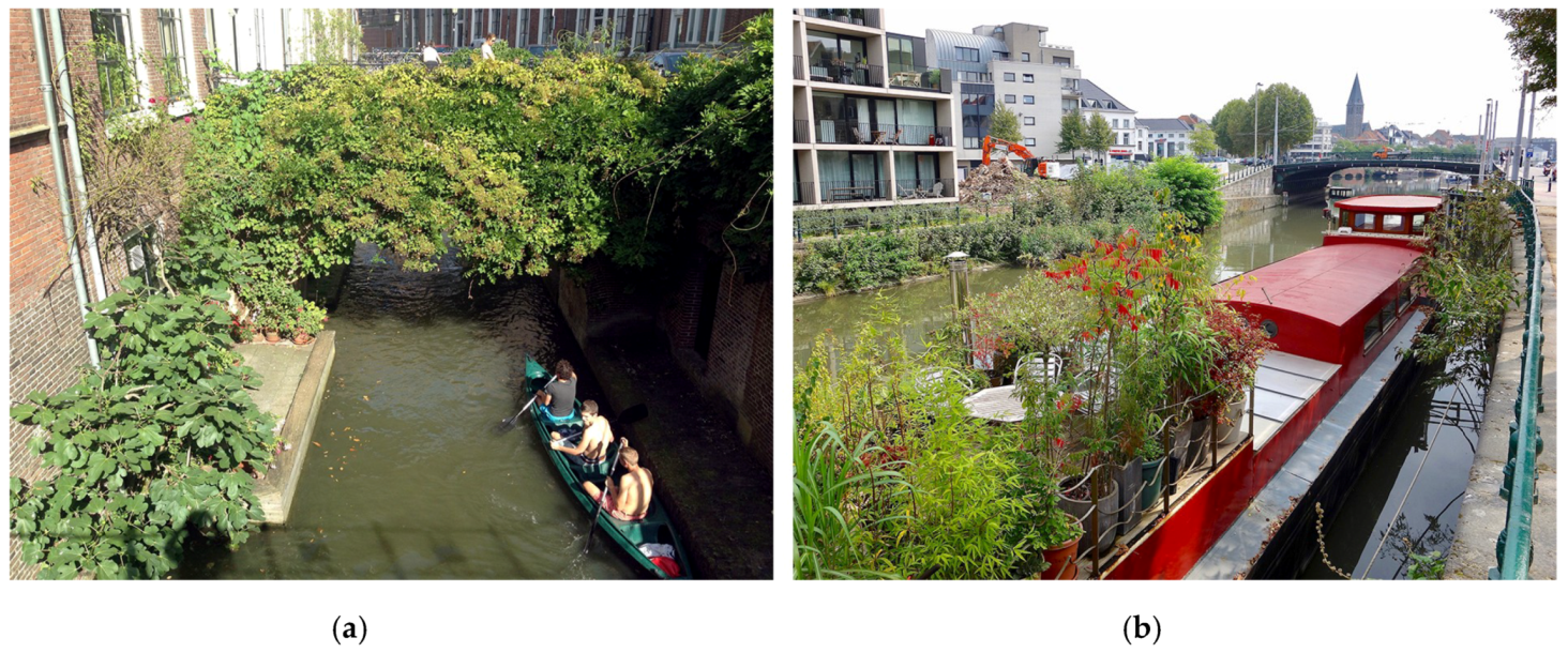 Sustainability 12 03790 g005