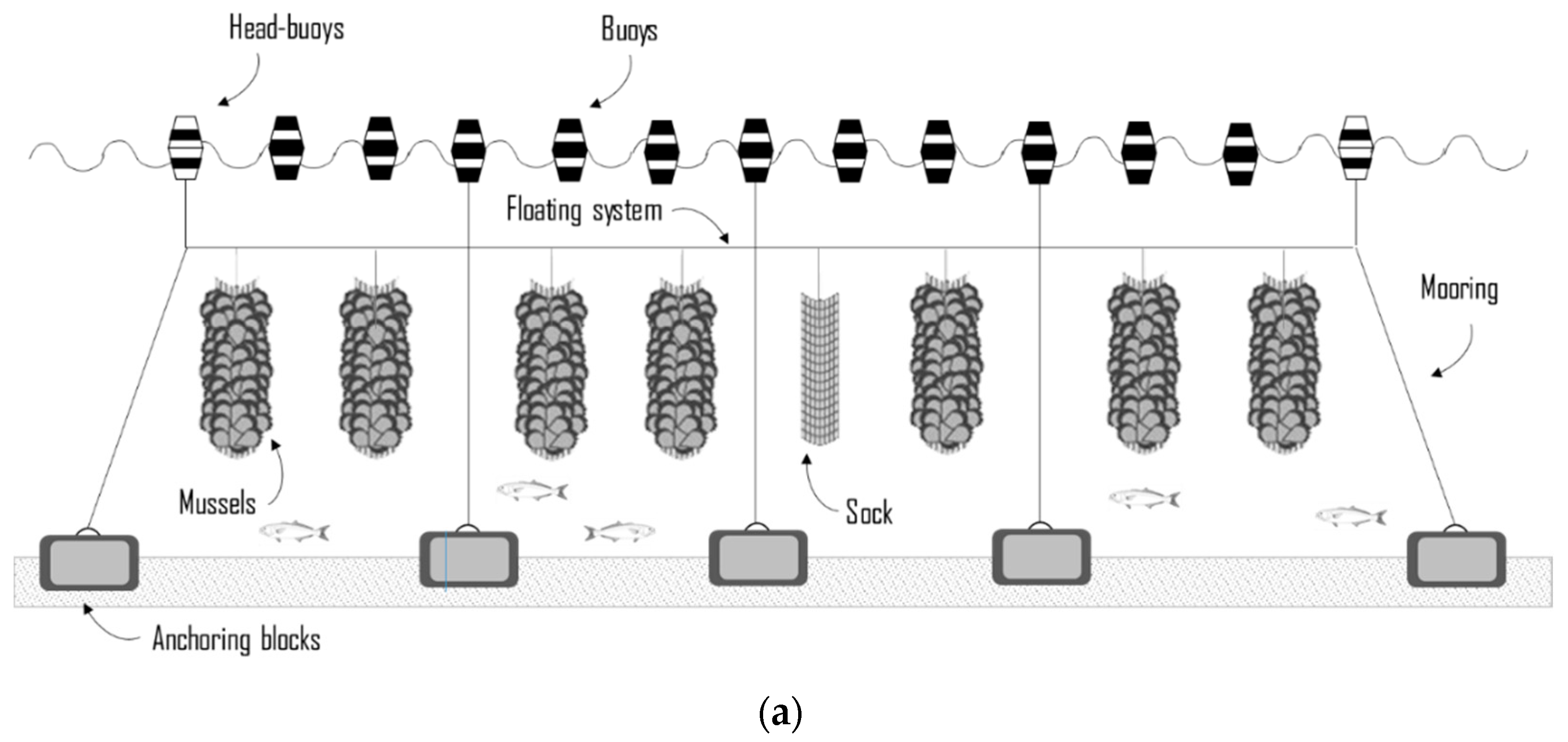 Sustainability 12 03814 g002a Sustainability 12 03814 g002a