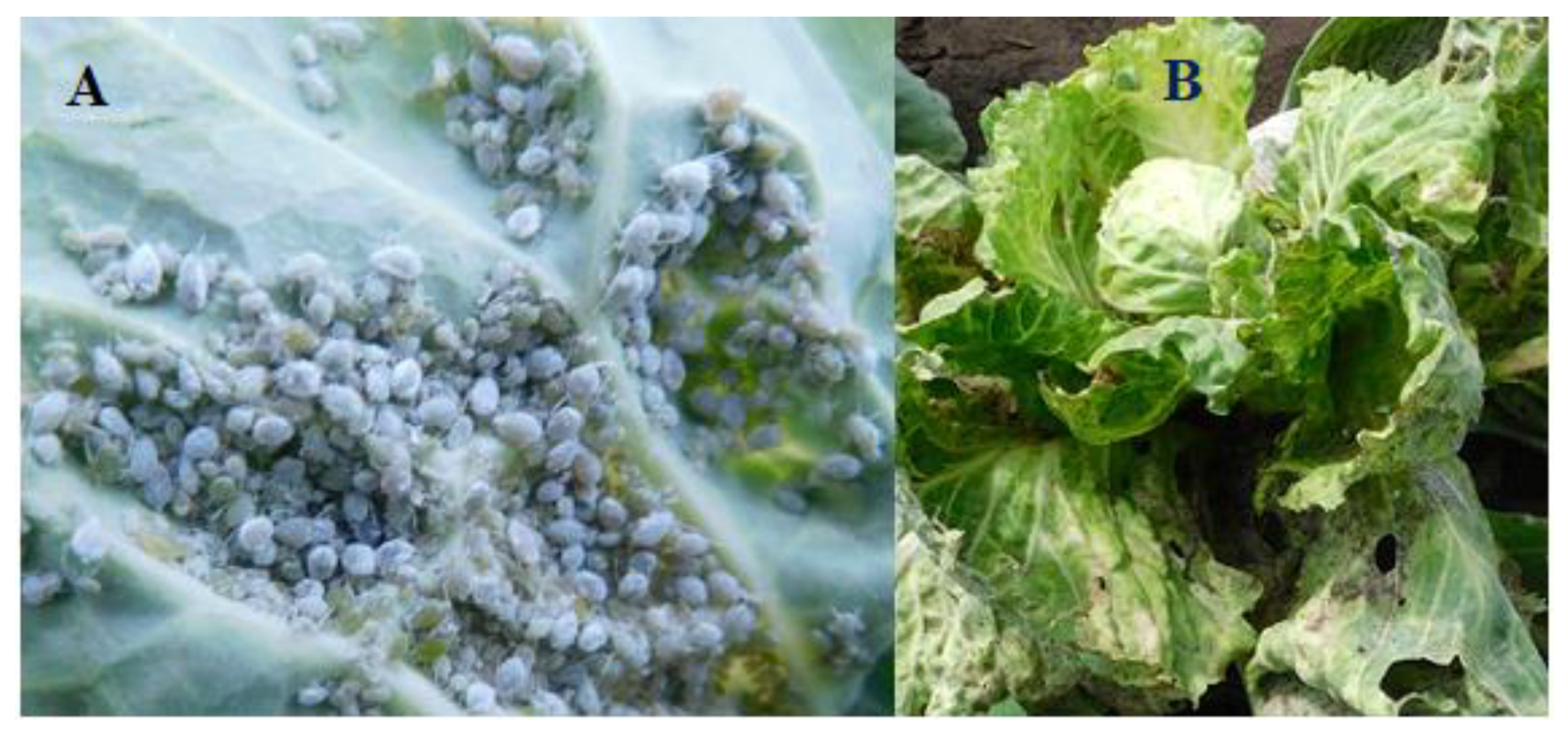 Sustainability 12 03824 g004