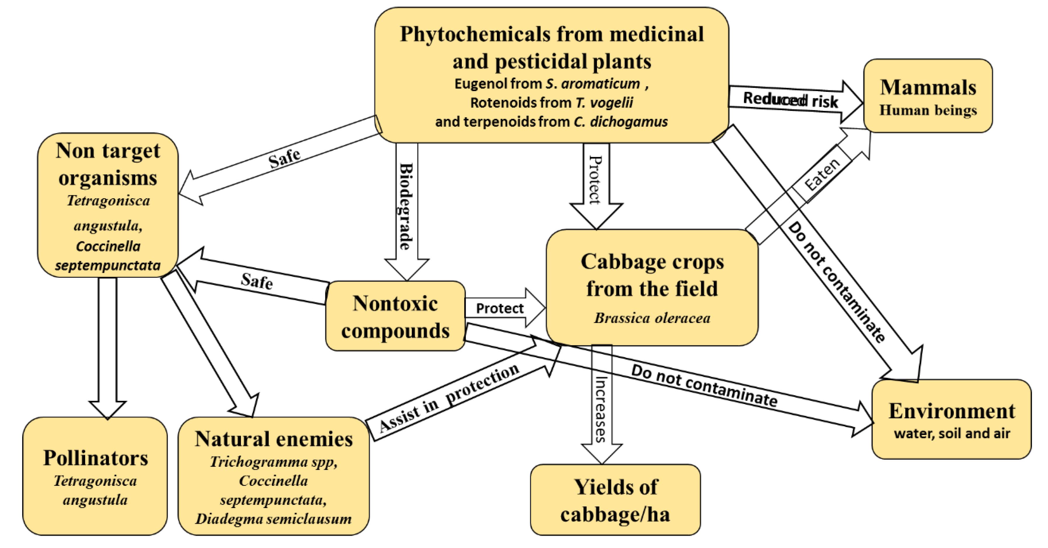 Sustainability 12 03824 g007