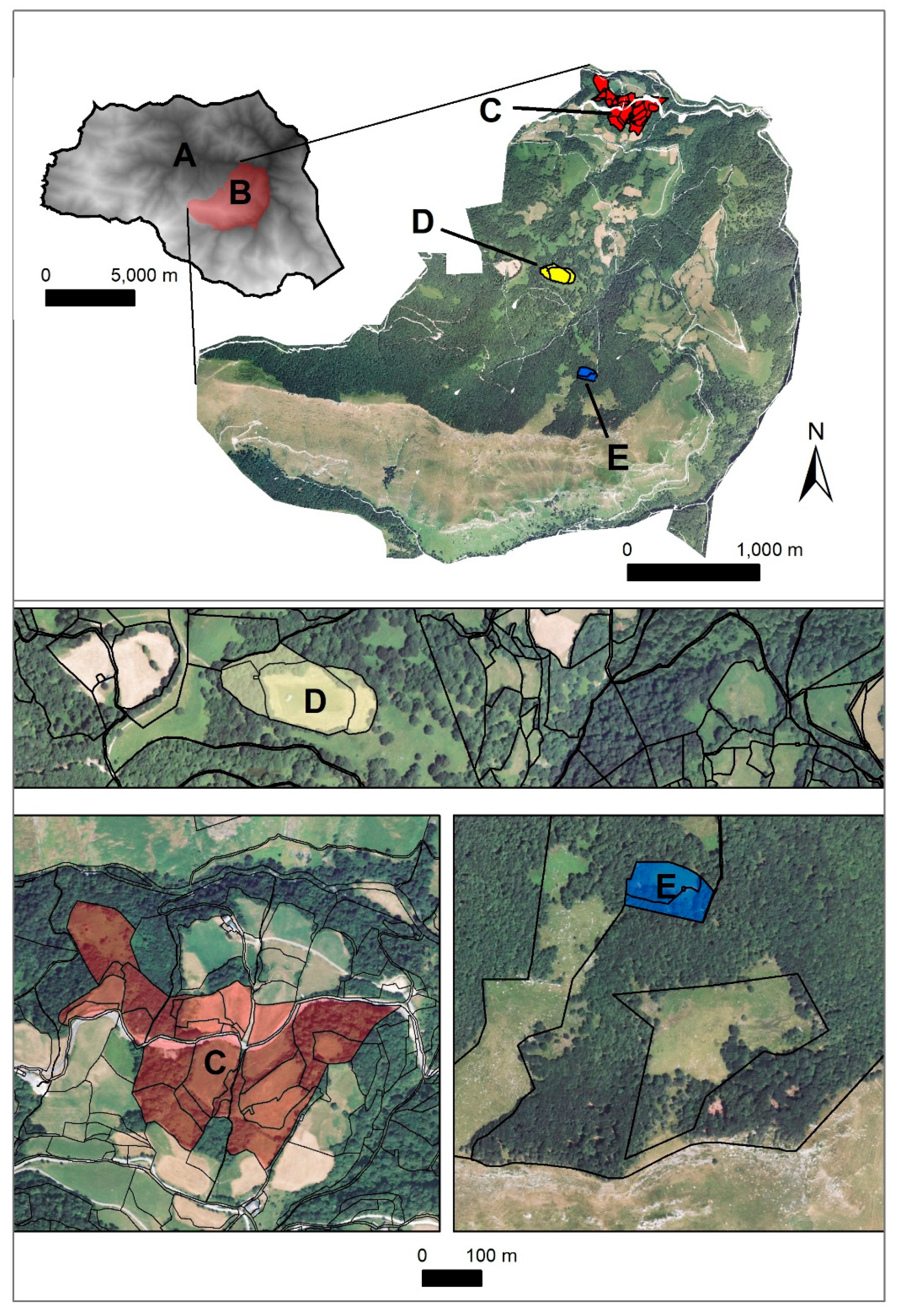 Sustainability 12 03882 g002