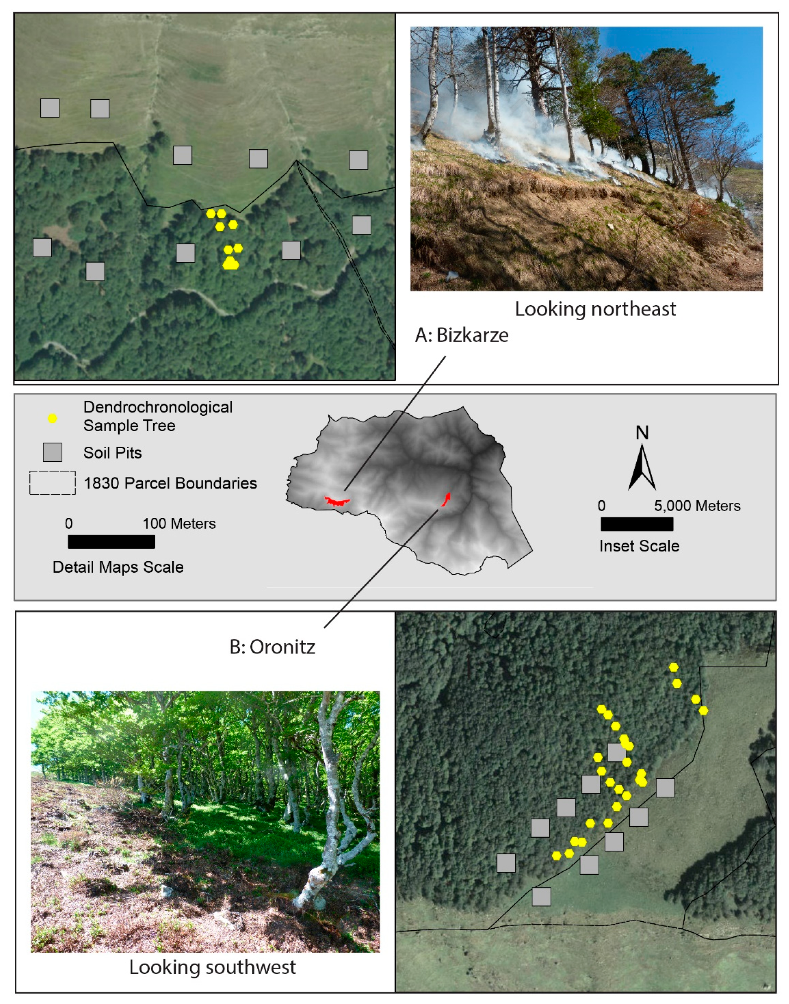 Sustainability 12 03882 g006