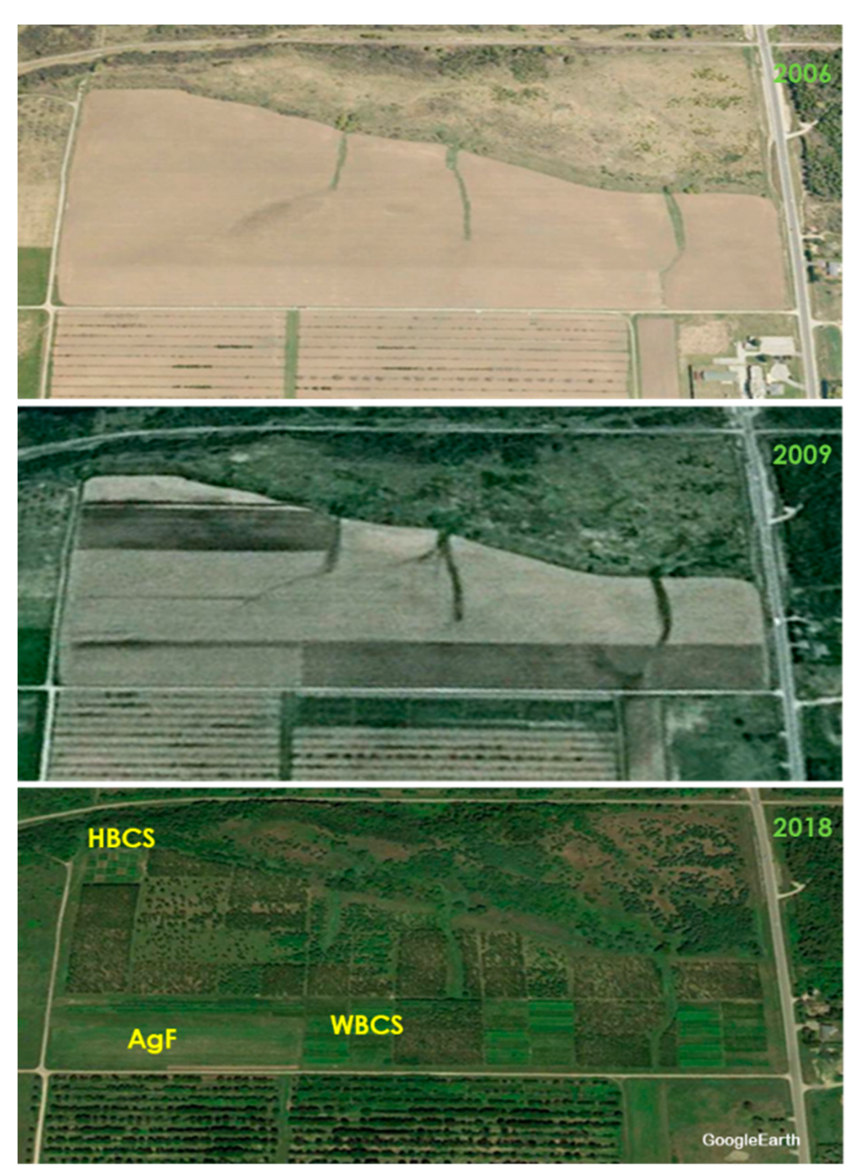 Sustainability 12 03901 g001