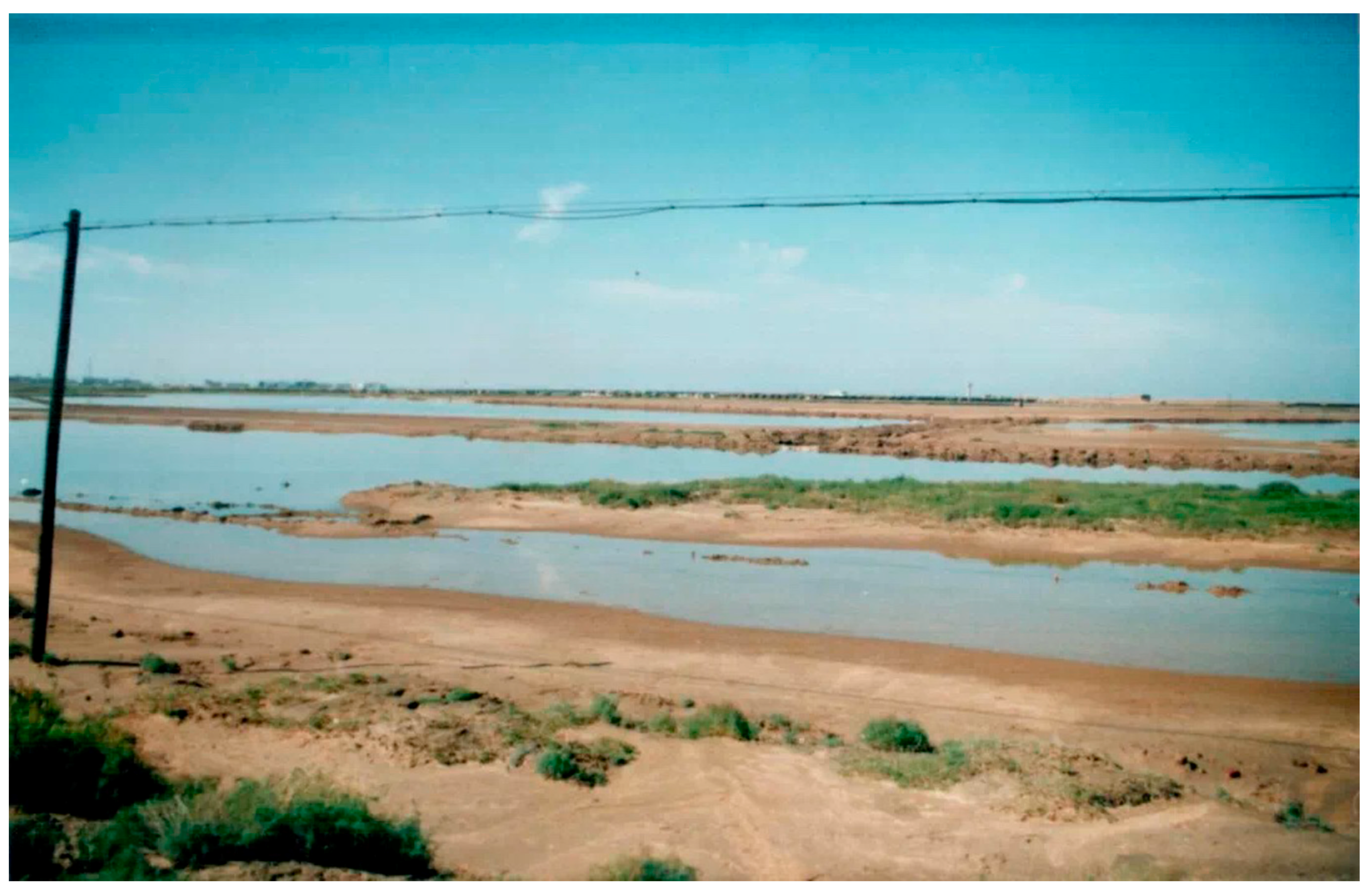 Sustainability 12 03924 g009 Sustainability 12 03924 g009