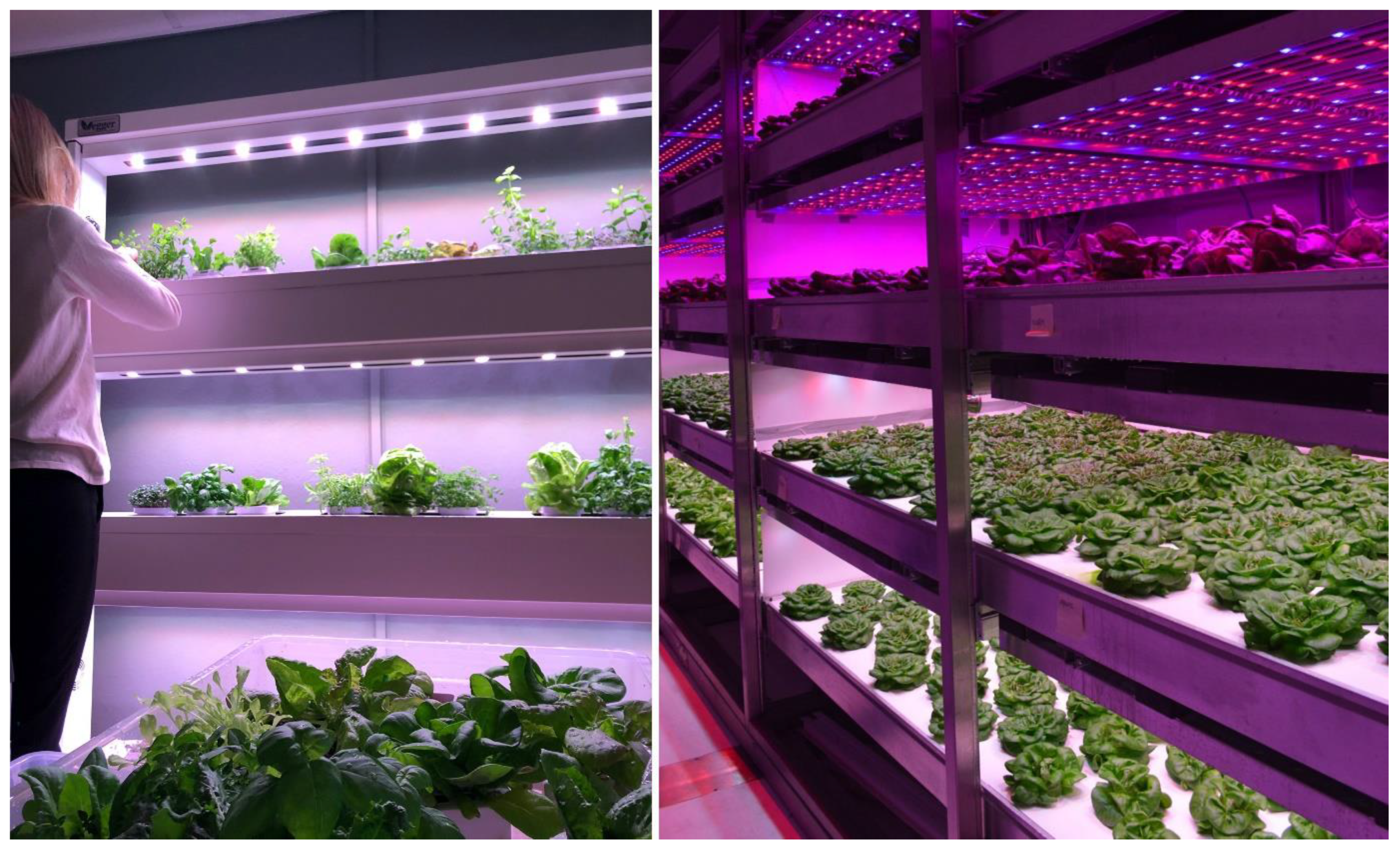 Sustainability 12 03955 g005 Sustainability 12 03955 g005