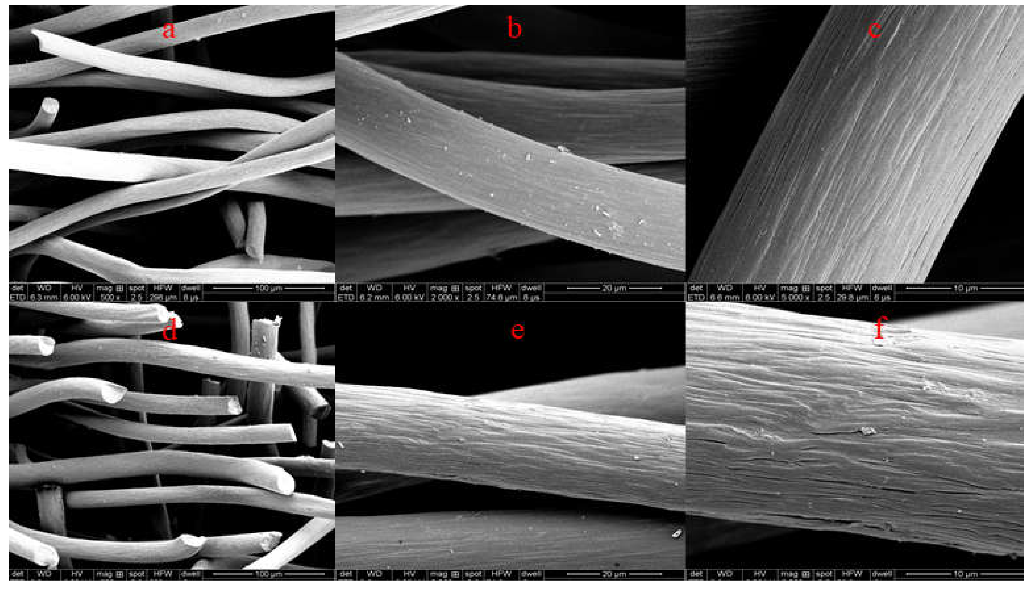 Sustainability 12 03986 g002