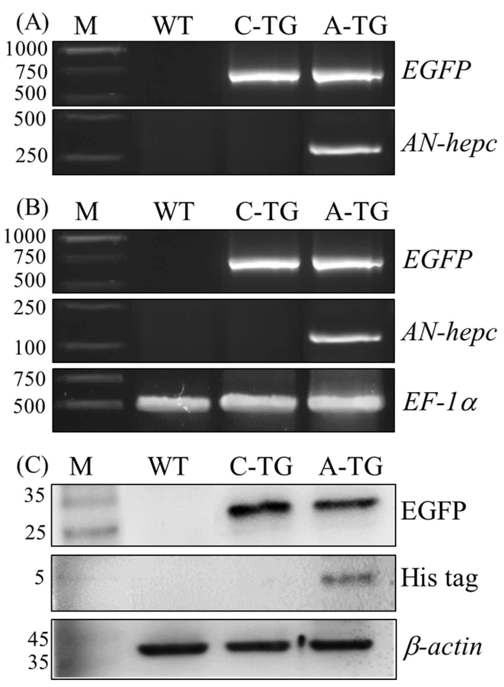 Sustainability 12 04057 g003 Sustainability 12 04057 g003