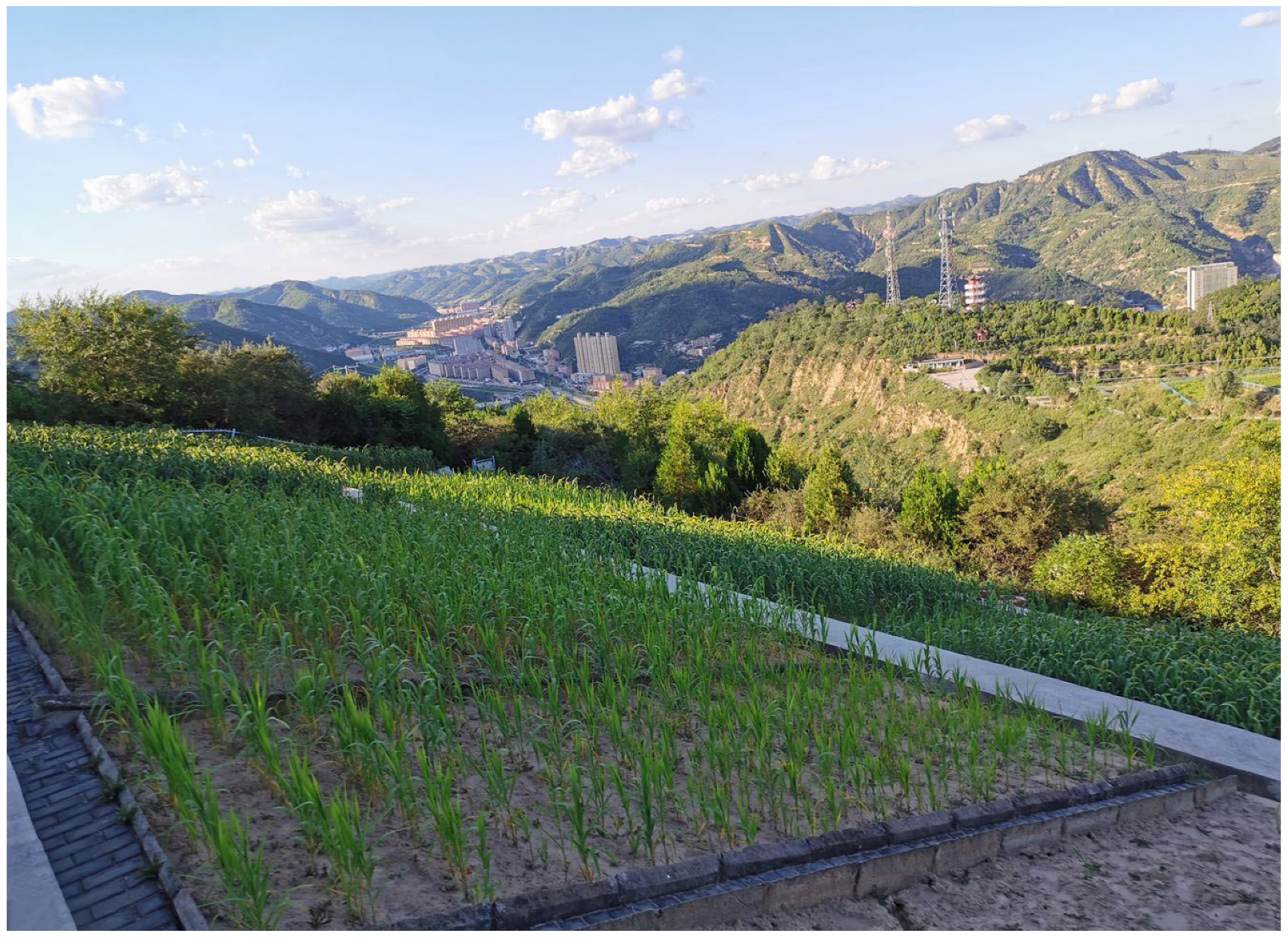 Sustainability 12 04125 g003 Sustainability 12 04125 g003