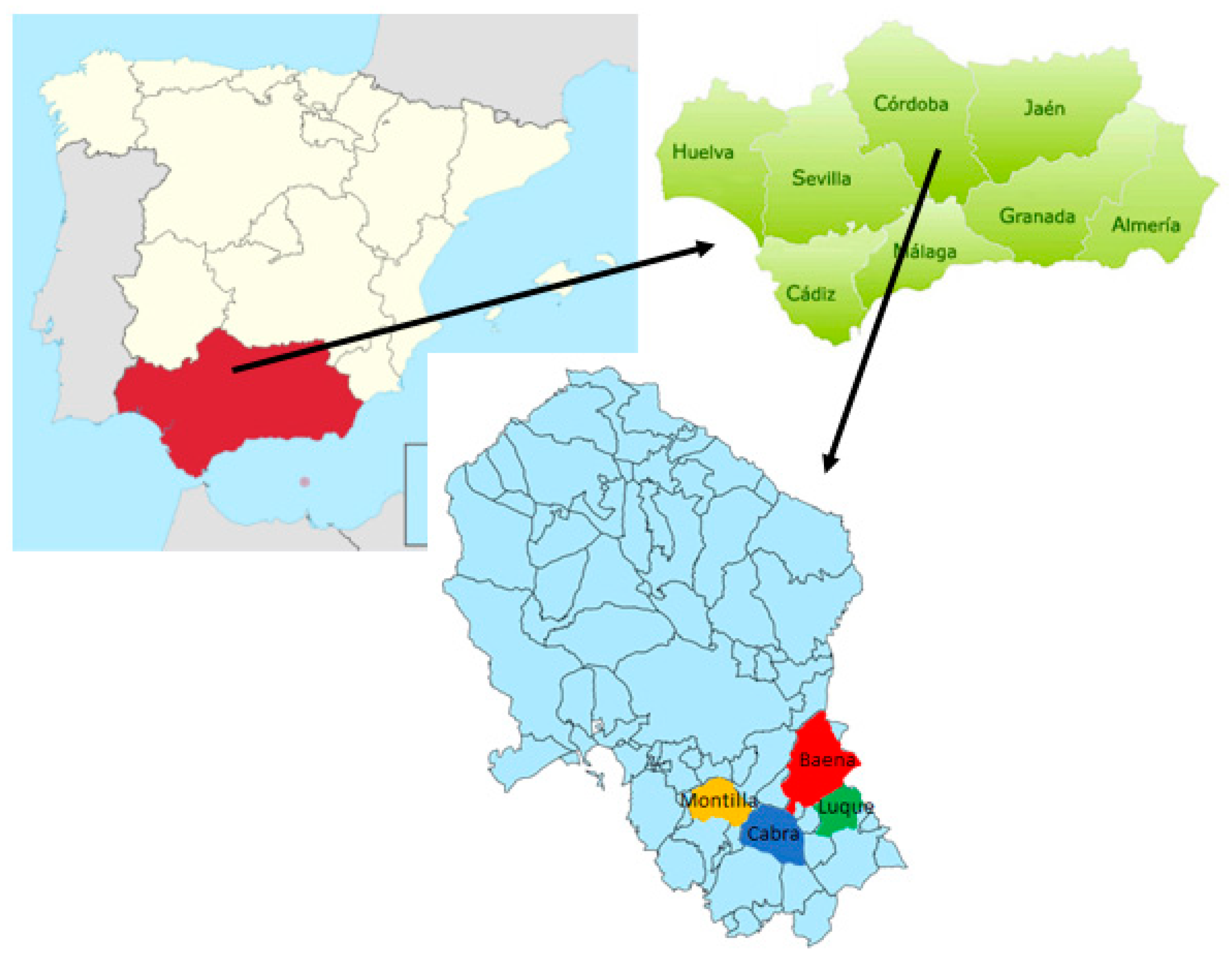 Sustainability 12 04178 g002