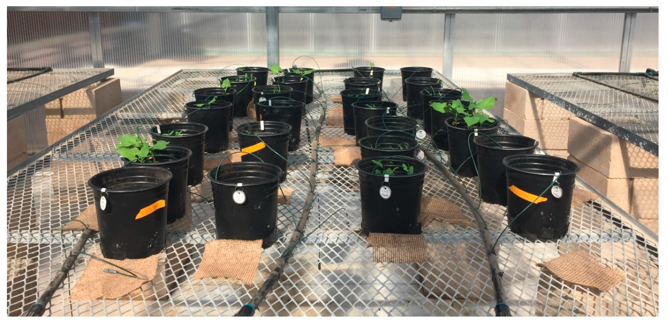 Sustainability 12 04209 g001 Sustainability 12 04209 g001