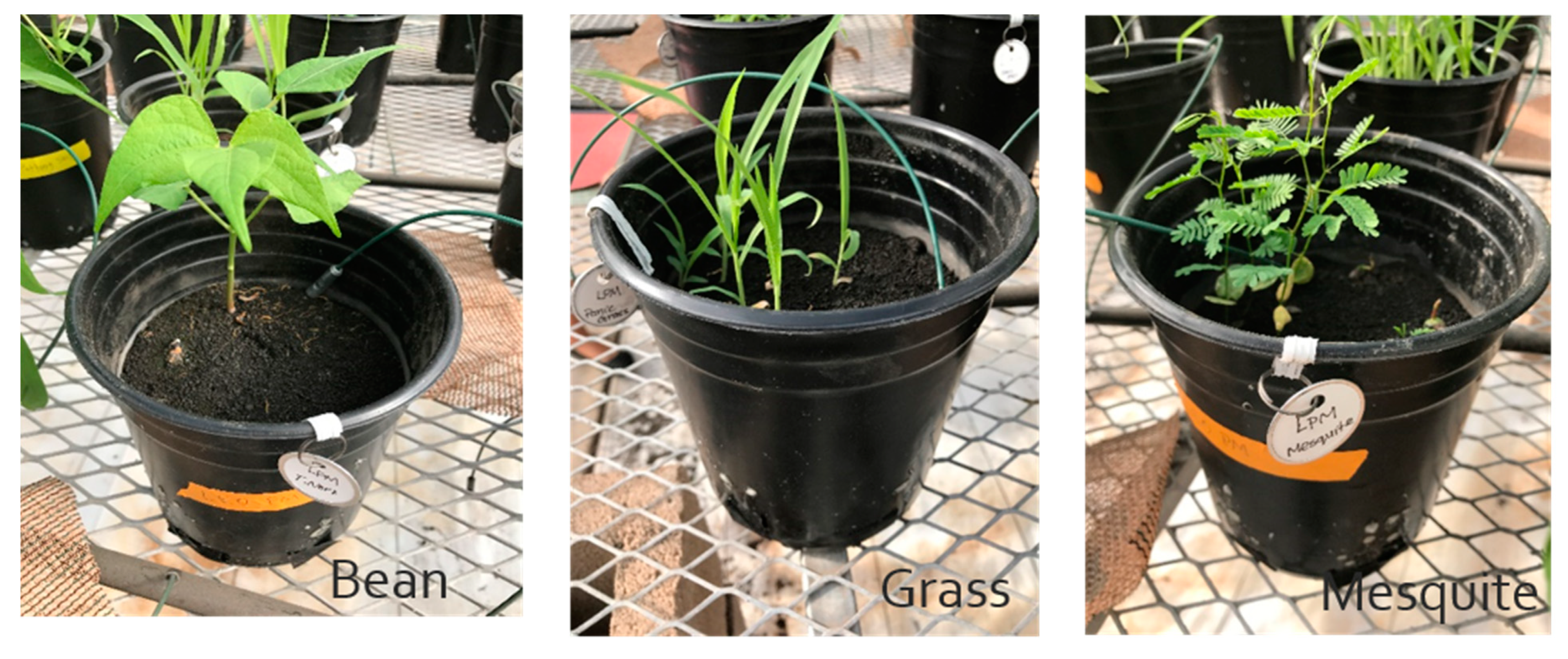 Sustainability 12 04209 g002 Sustainability 12 04209 g002