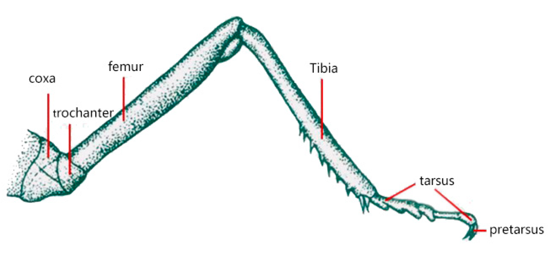 Sustainability 12 04276 g005