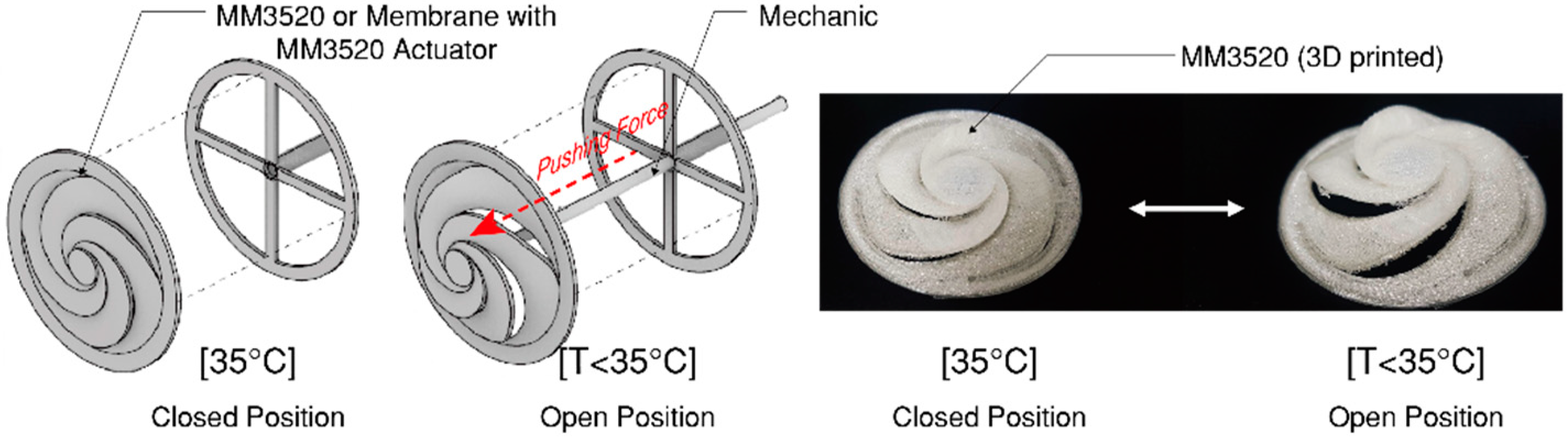 Sustainability 12 04391 g002 Sustainability 12 04391 g002