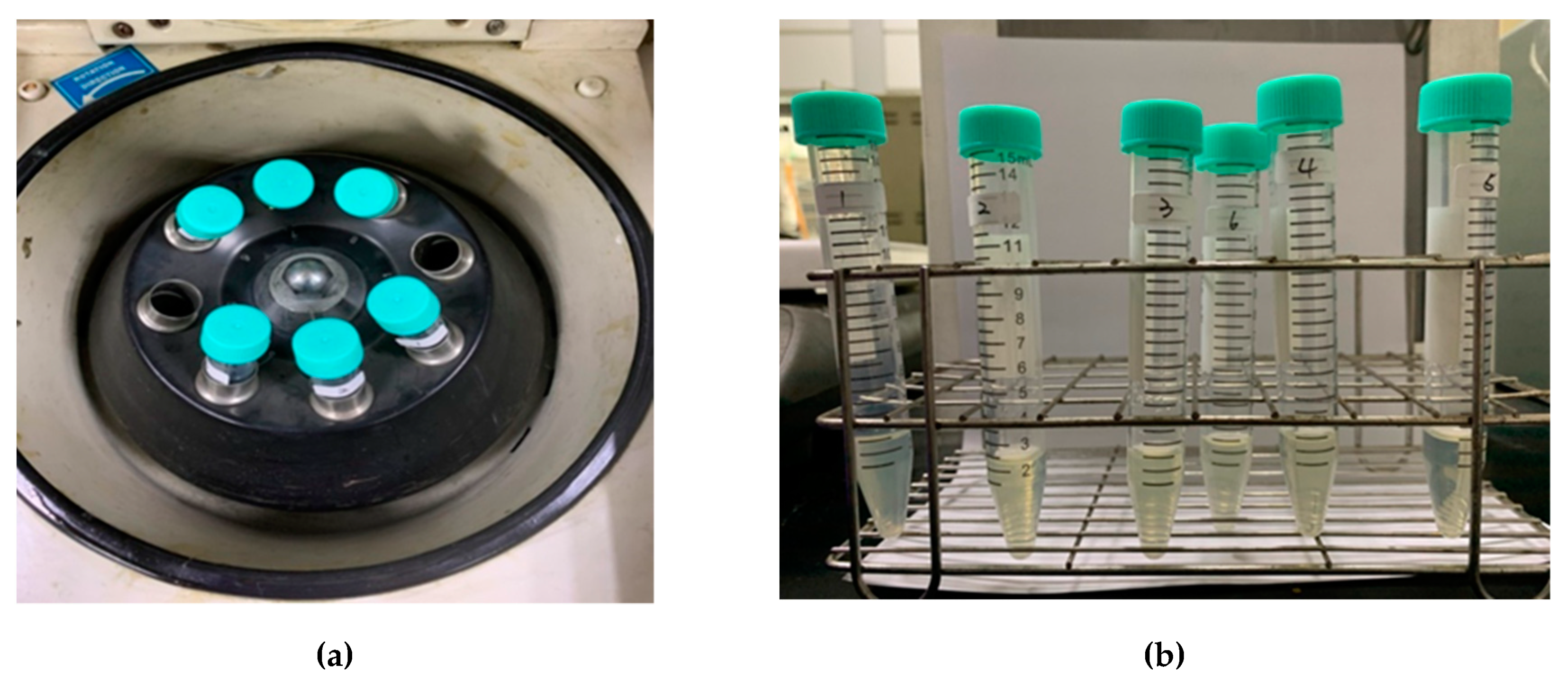 Sustainability 12 04411 g002 Sustainability 12 04411 g002