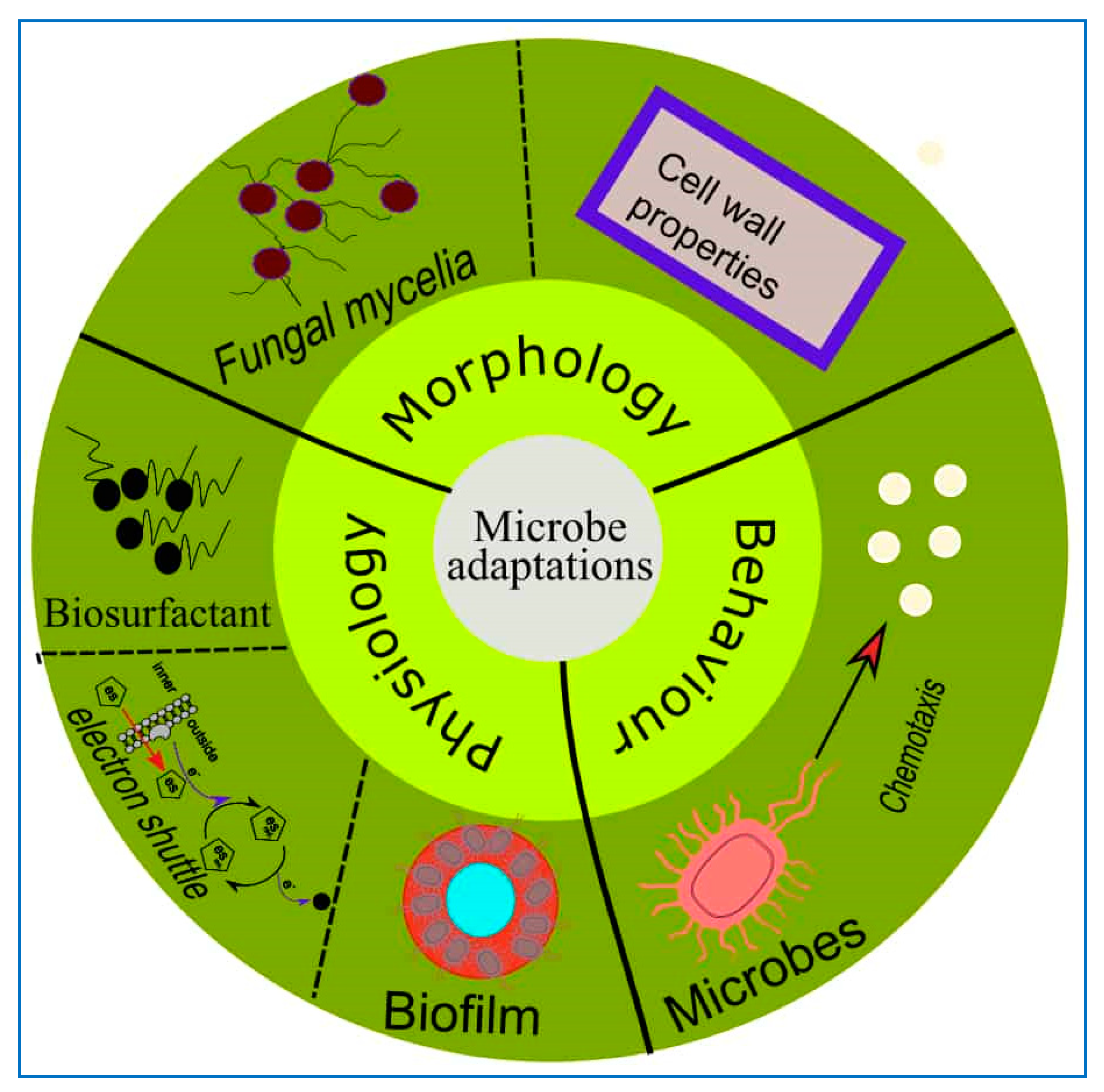 Sustainability 12 04456 g002 Sustainability 12 04456 g002