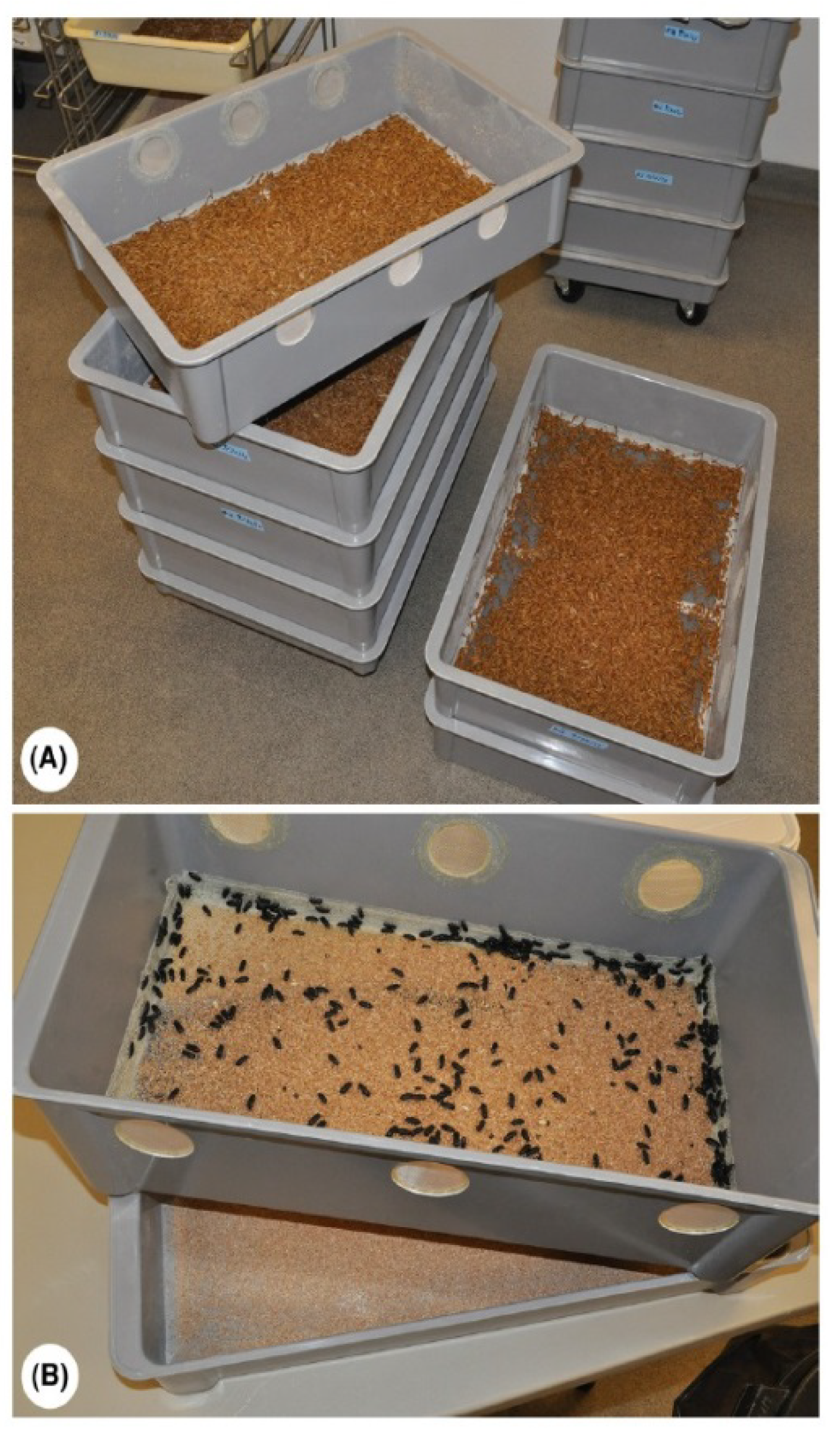 Sustainability 12 04567 g004