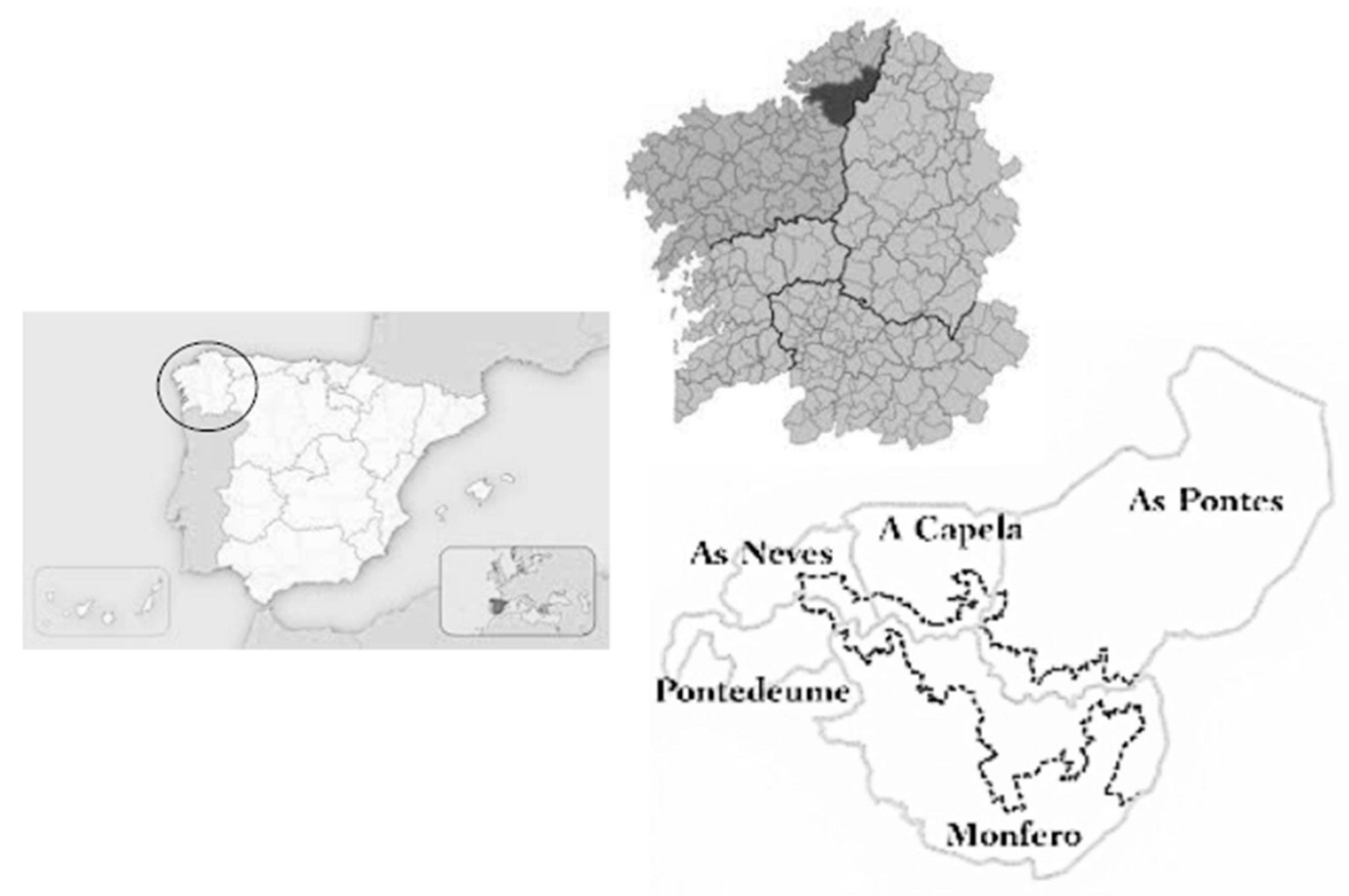 Sustainability 12 04602 g001