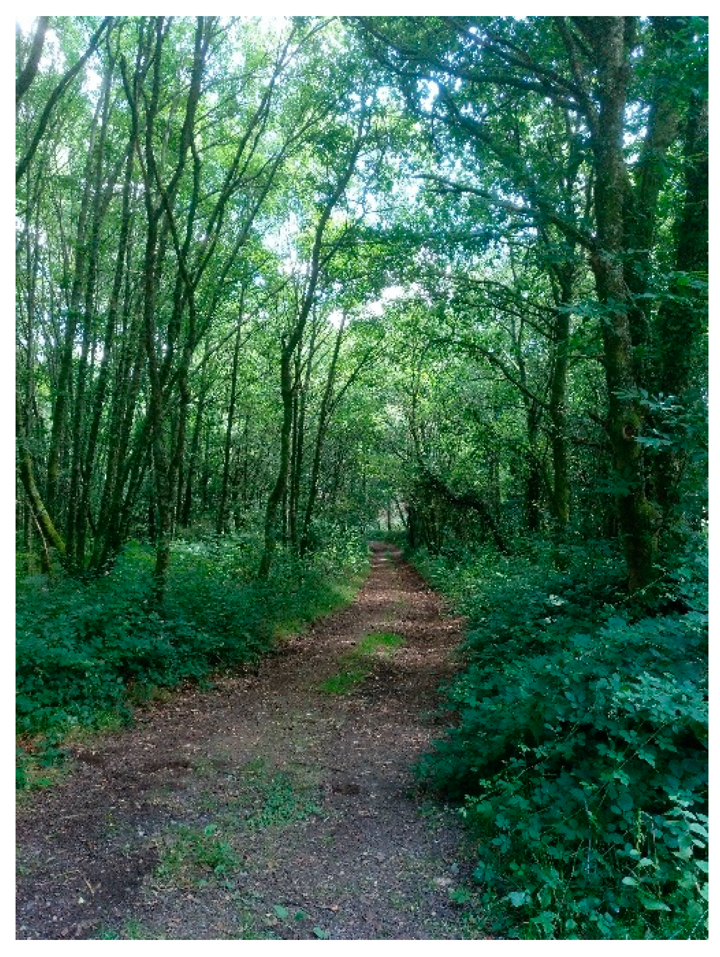 Sustainability 12 04602 g003