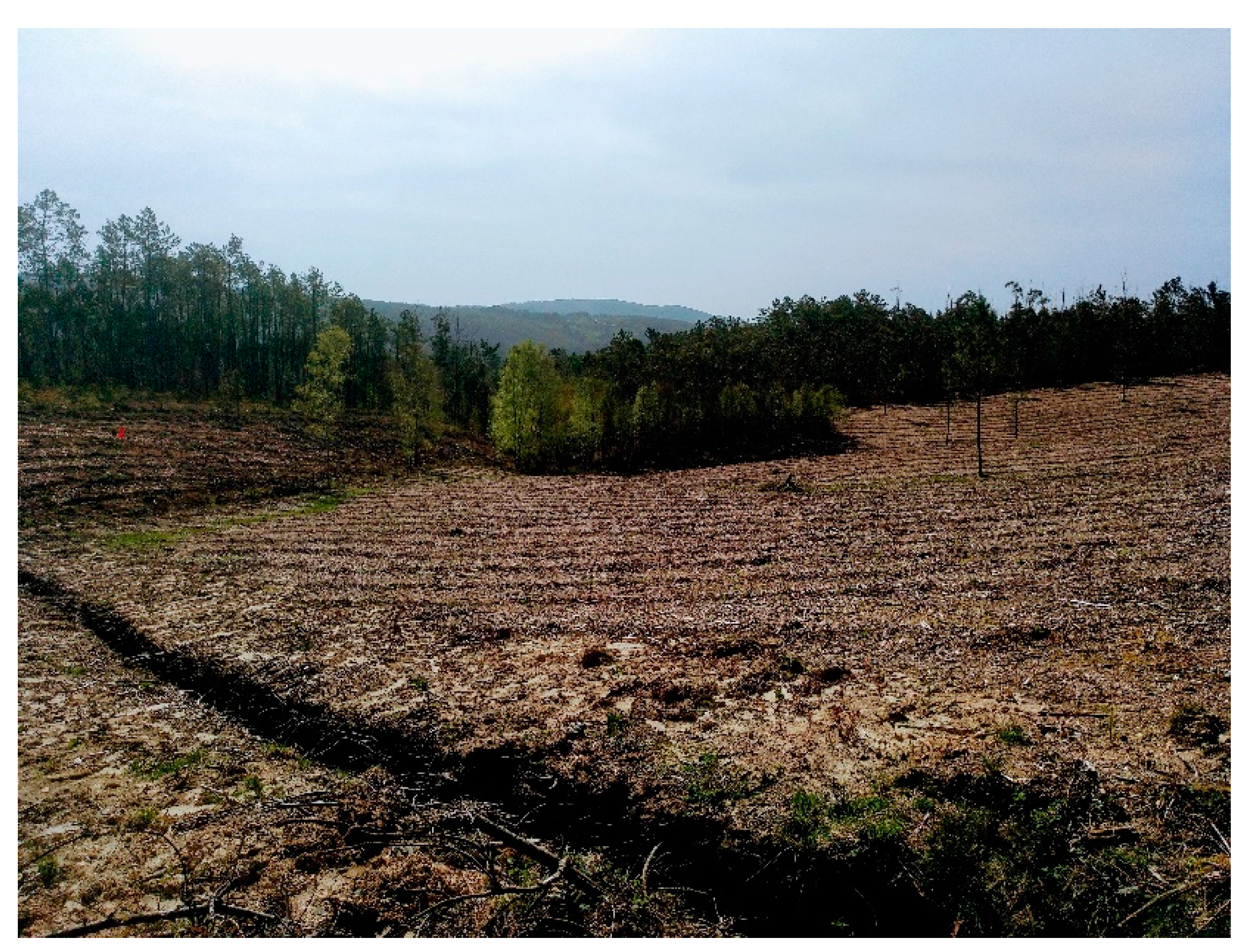 Sustainability 12 04602 g004