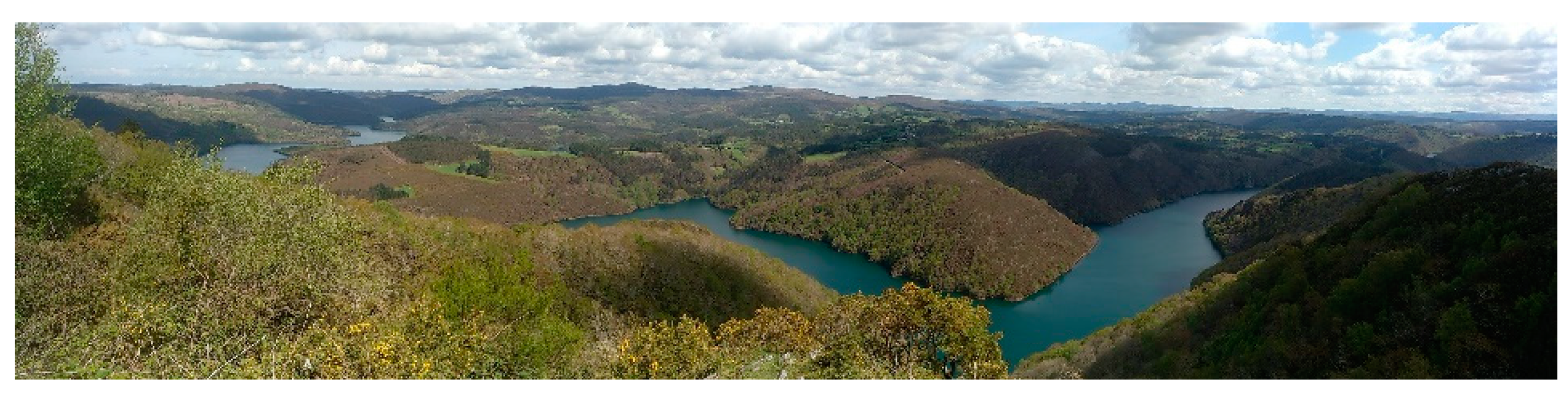 Sustainability 12 04602 g005