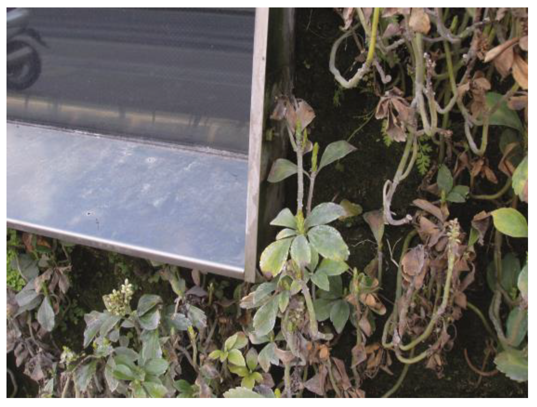 Sustainability 12 04615 g004