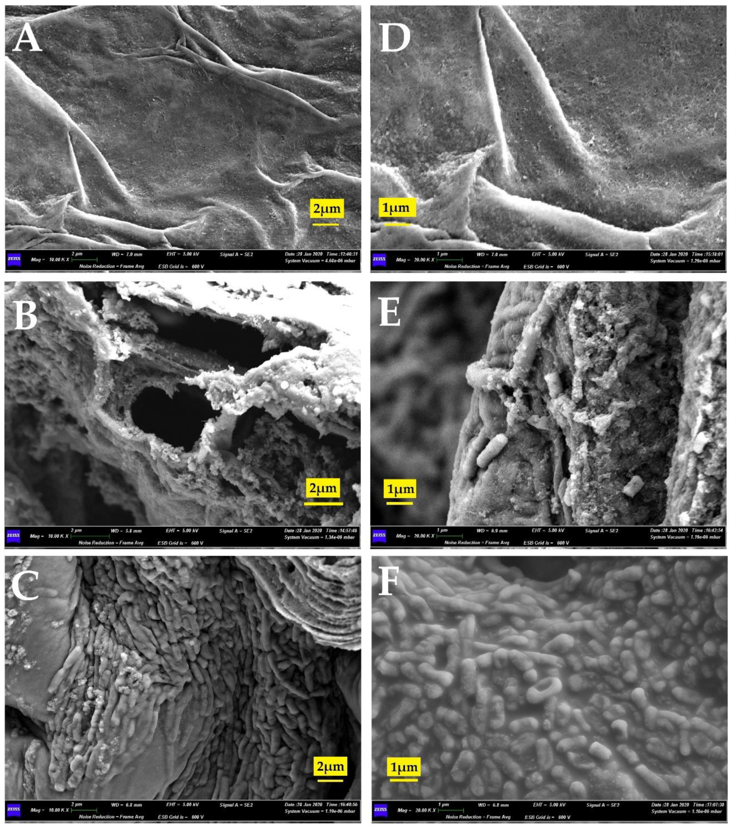 Sustainability 12 04617 g006 Sustainability 12 04617 g006